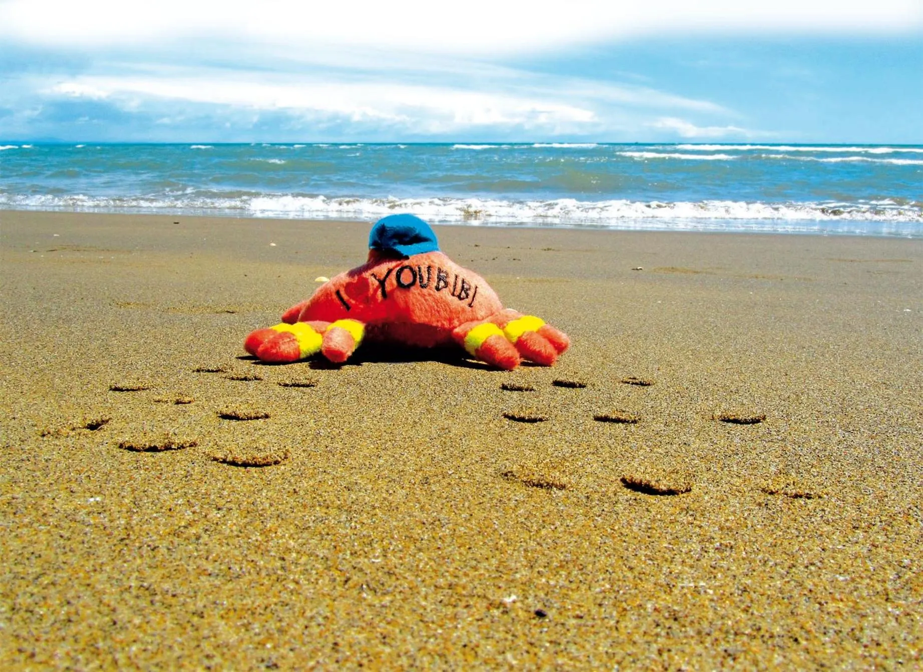 Summer in Residenza Turistica Alberghiera Blue Marine