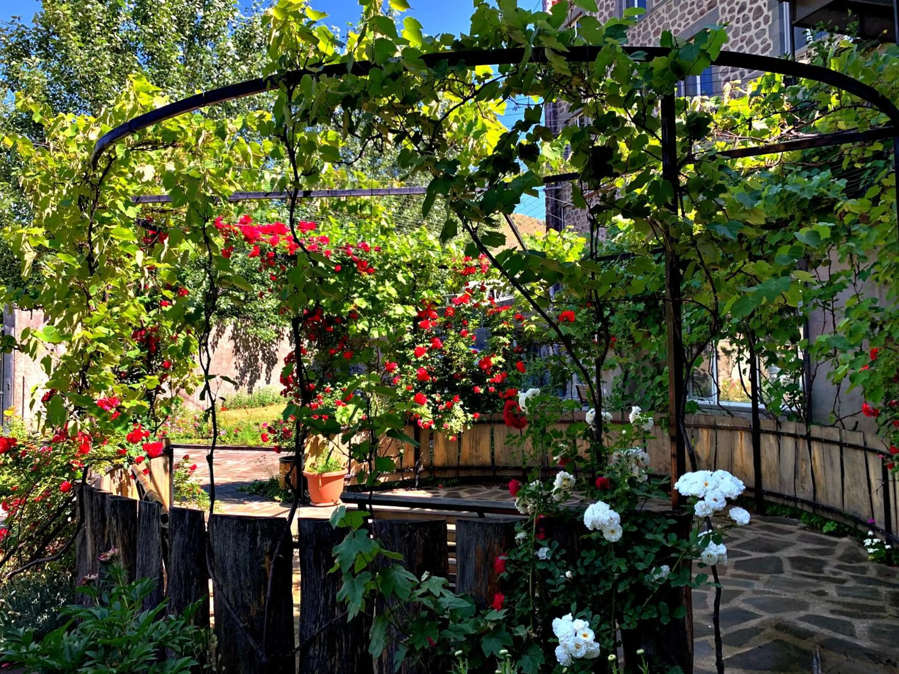 Garden in Mina Hotel