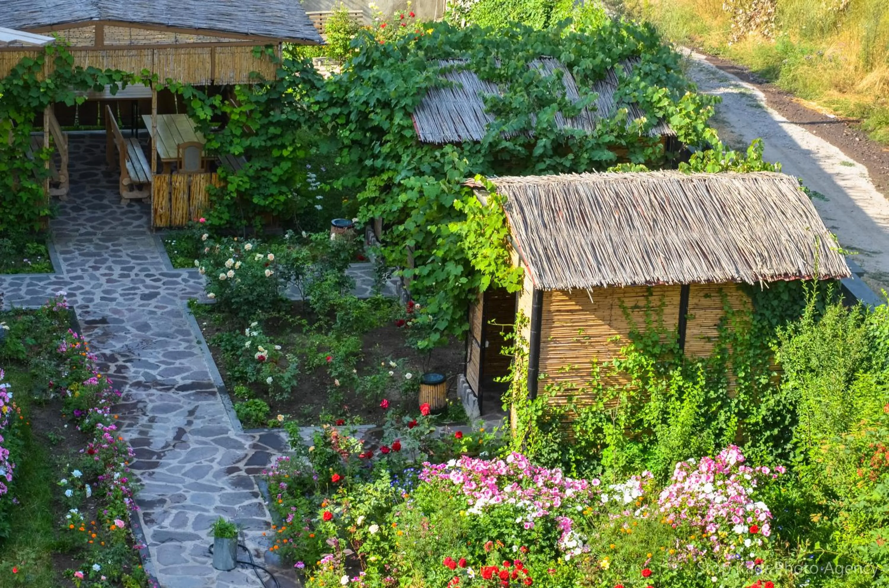 Garden in Mina Hotel