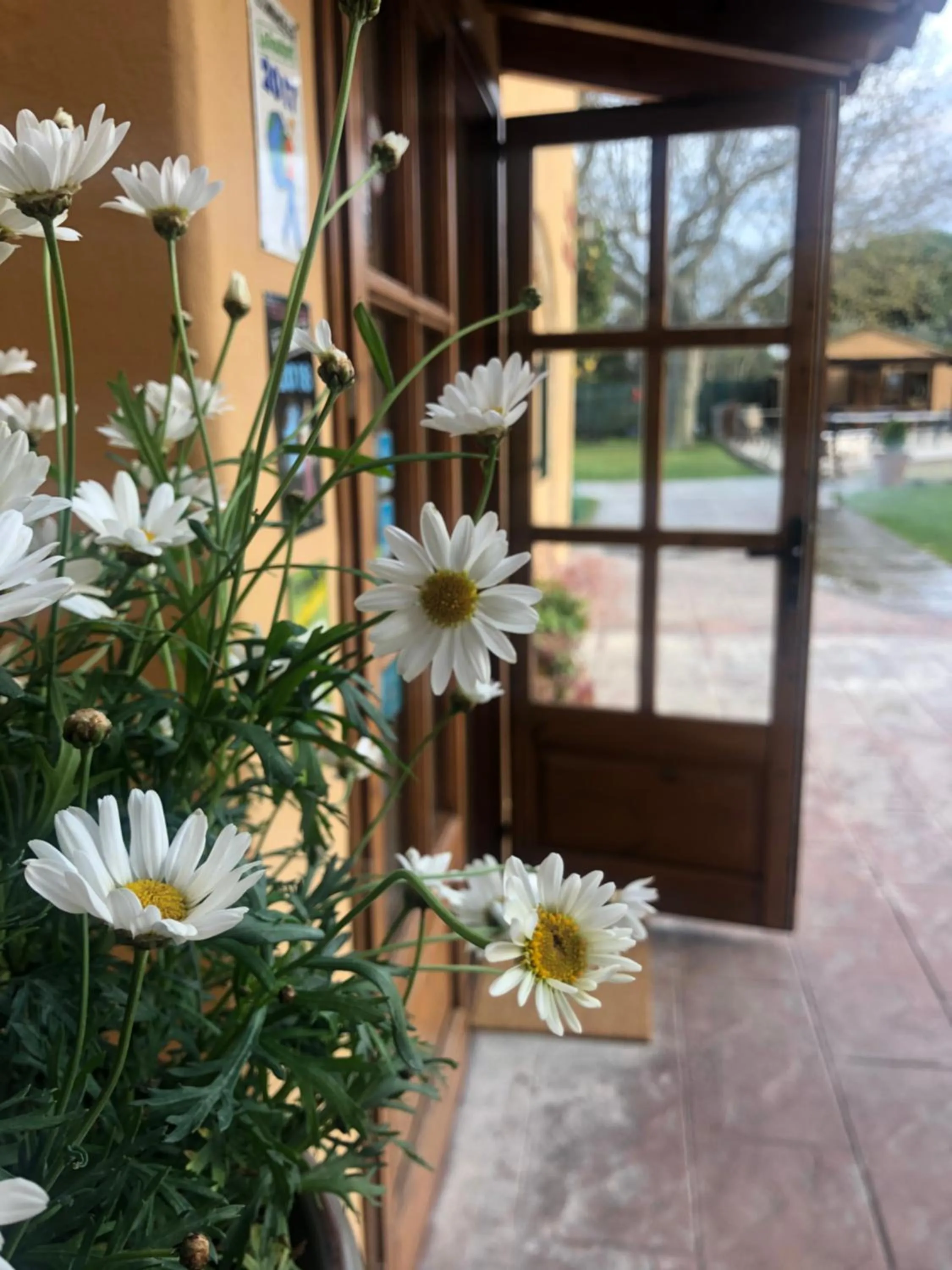 Lobby or reception in Hotel & Golf Ca La Caputxeta - Adults Only