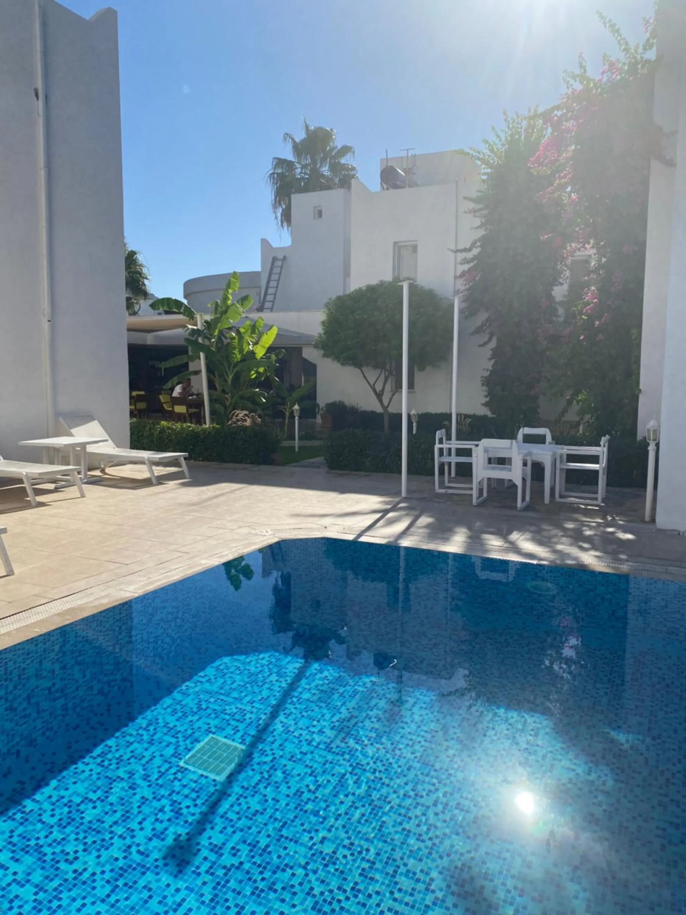 Swimming pool in Canna Garden Hotel - Adult Only