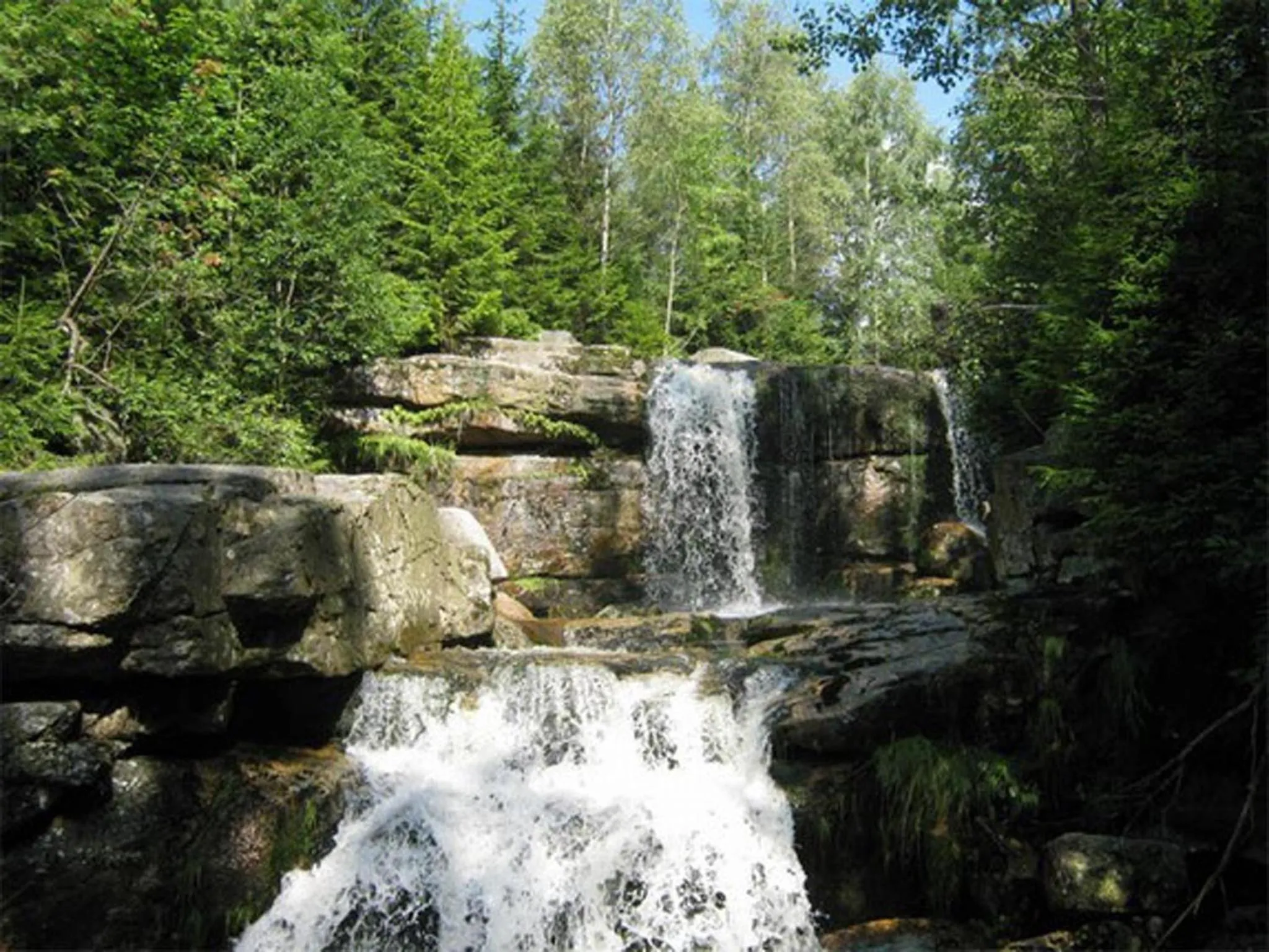 Neighbourhood in Hotel Perla Jizery