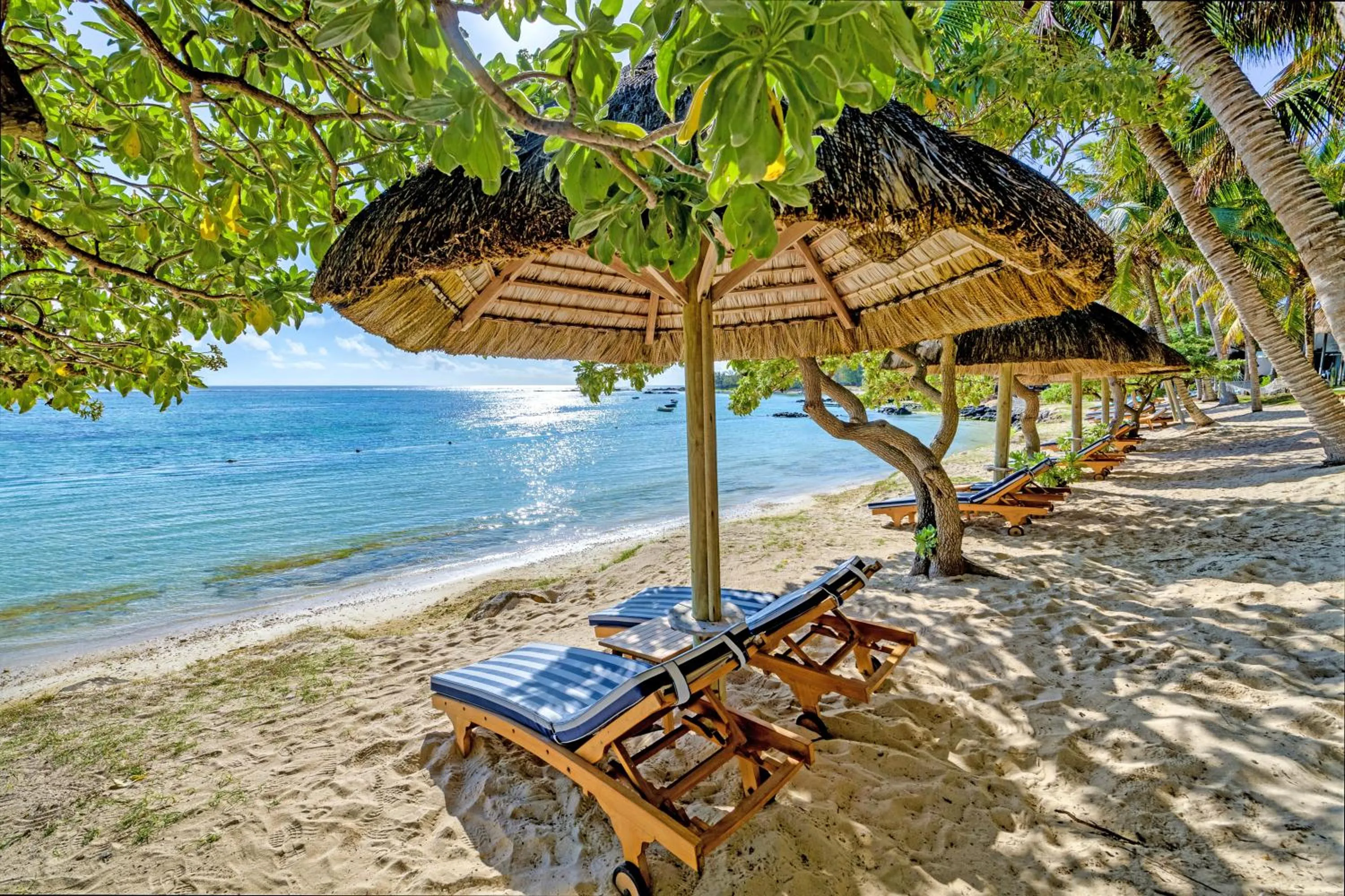 Beach in Seasense Boutique Hotel & Spa