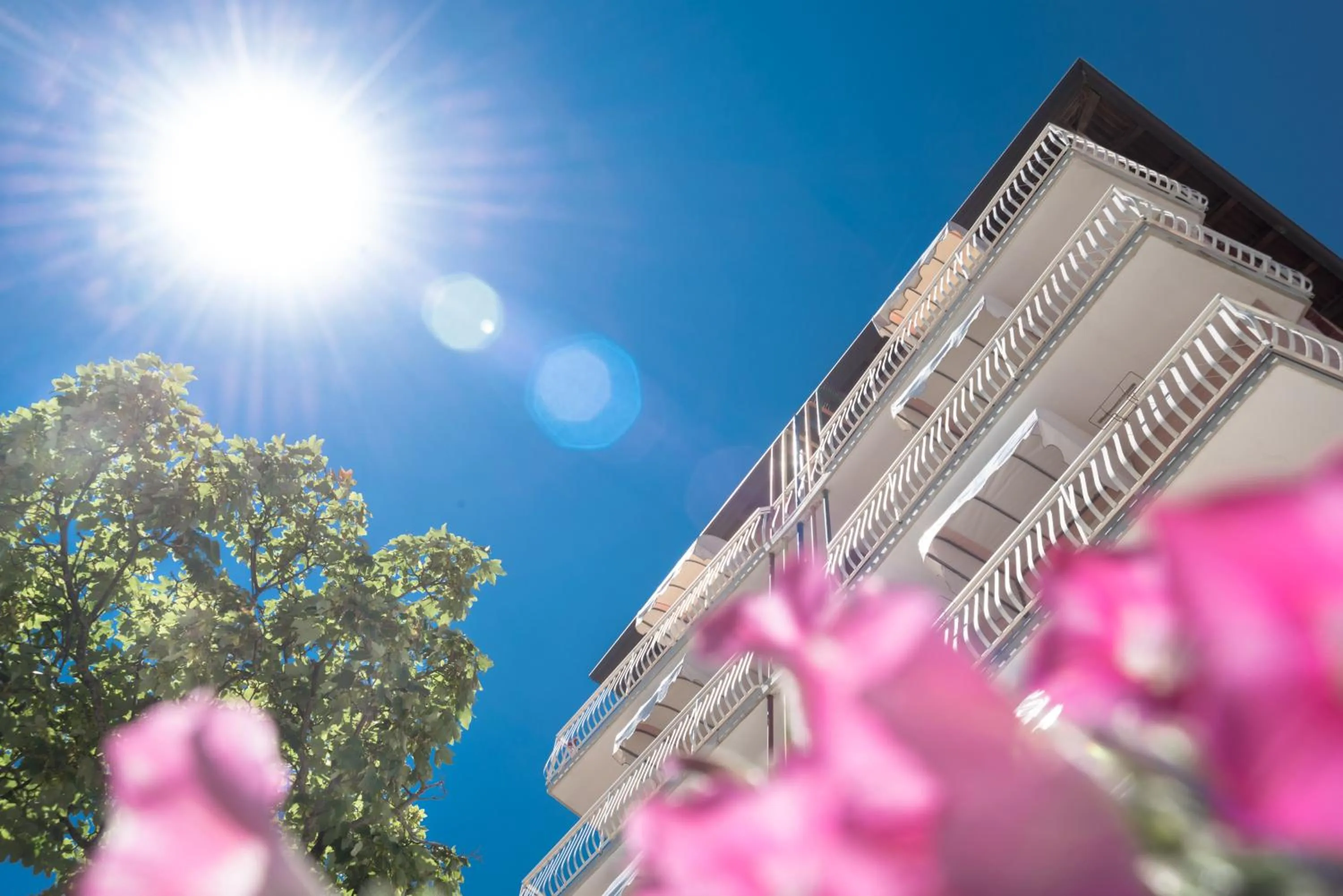 Property building in Hotel Trevi