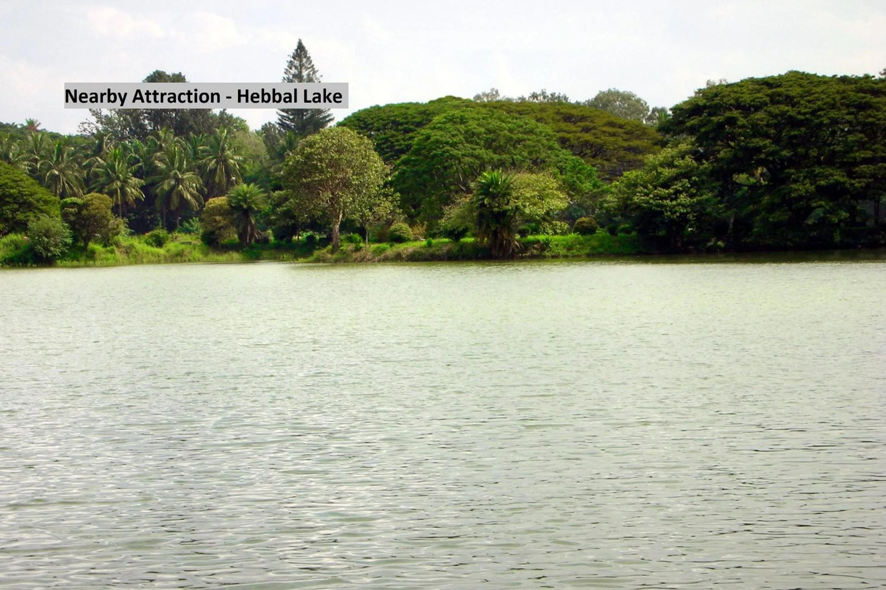 Other in Hotel O Rajmahal Boarding & Lodging