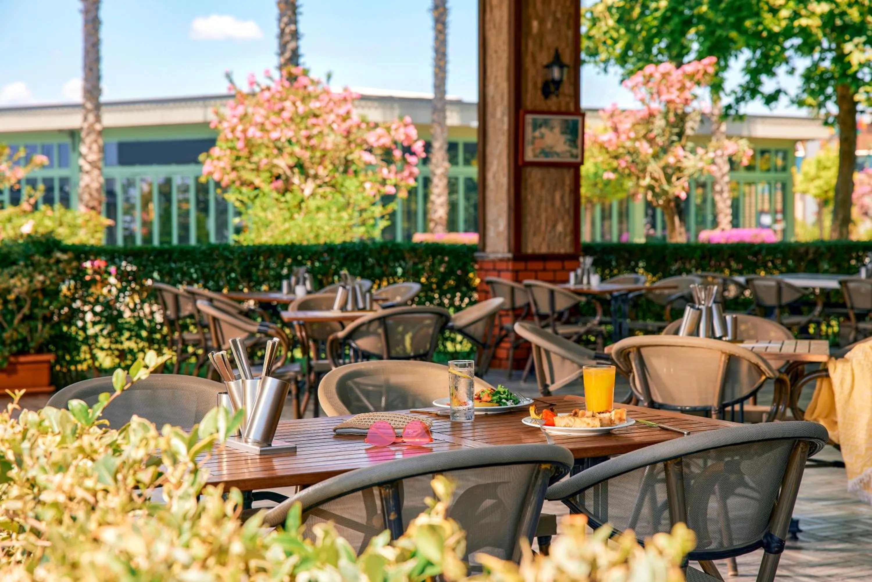 Garden in Tui Magic Life Jacaranda