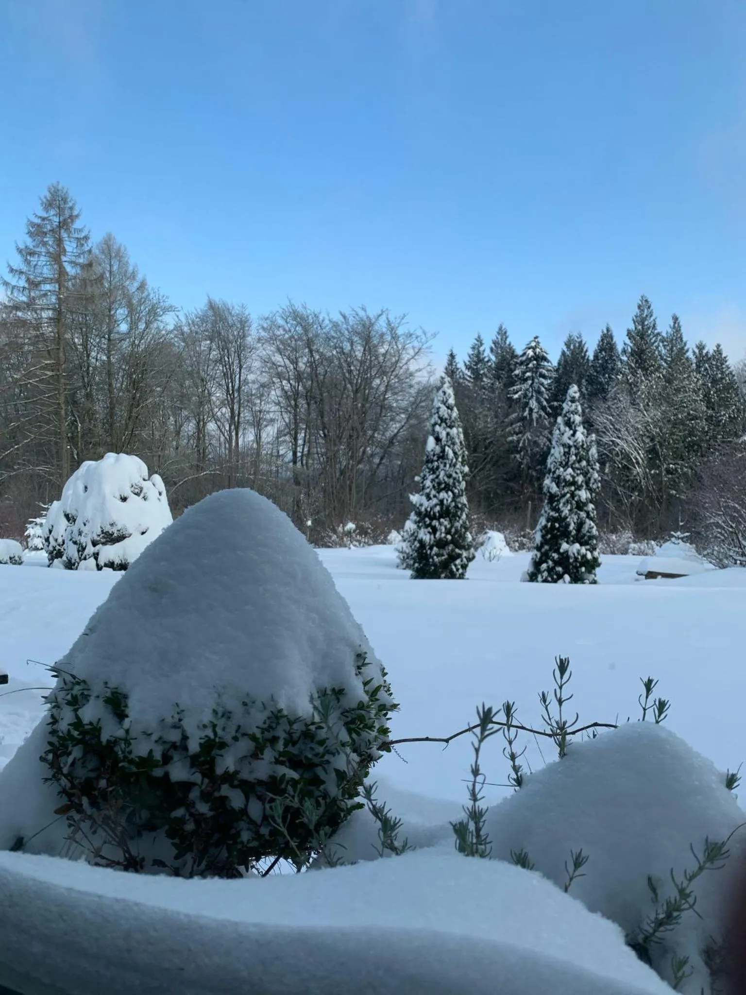 Waldhotel "Peter aufm Berge"