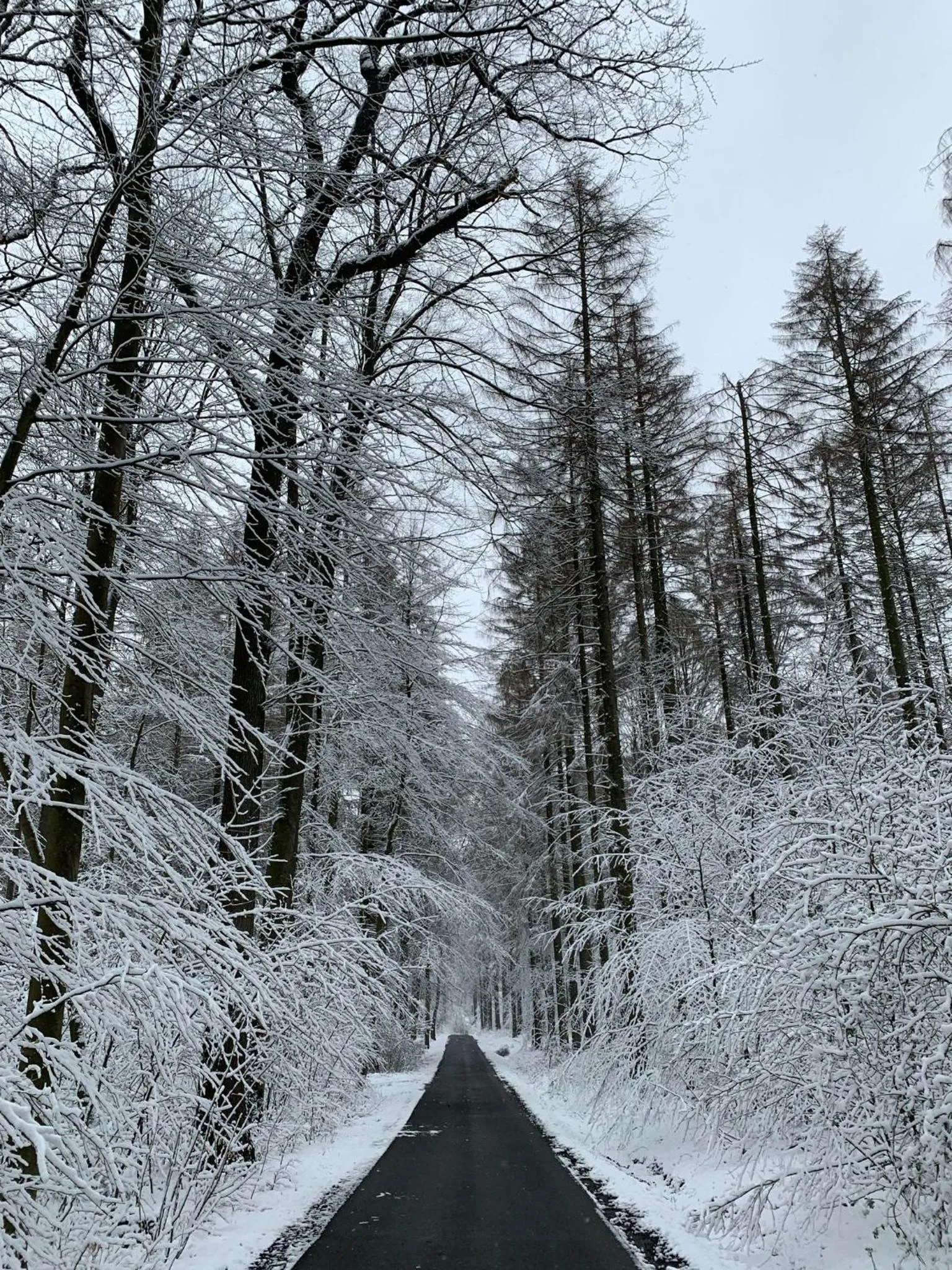 Waldhotel "Peter aufm Berge"
