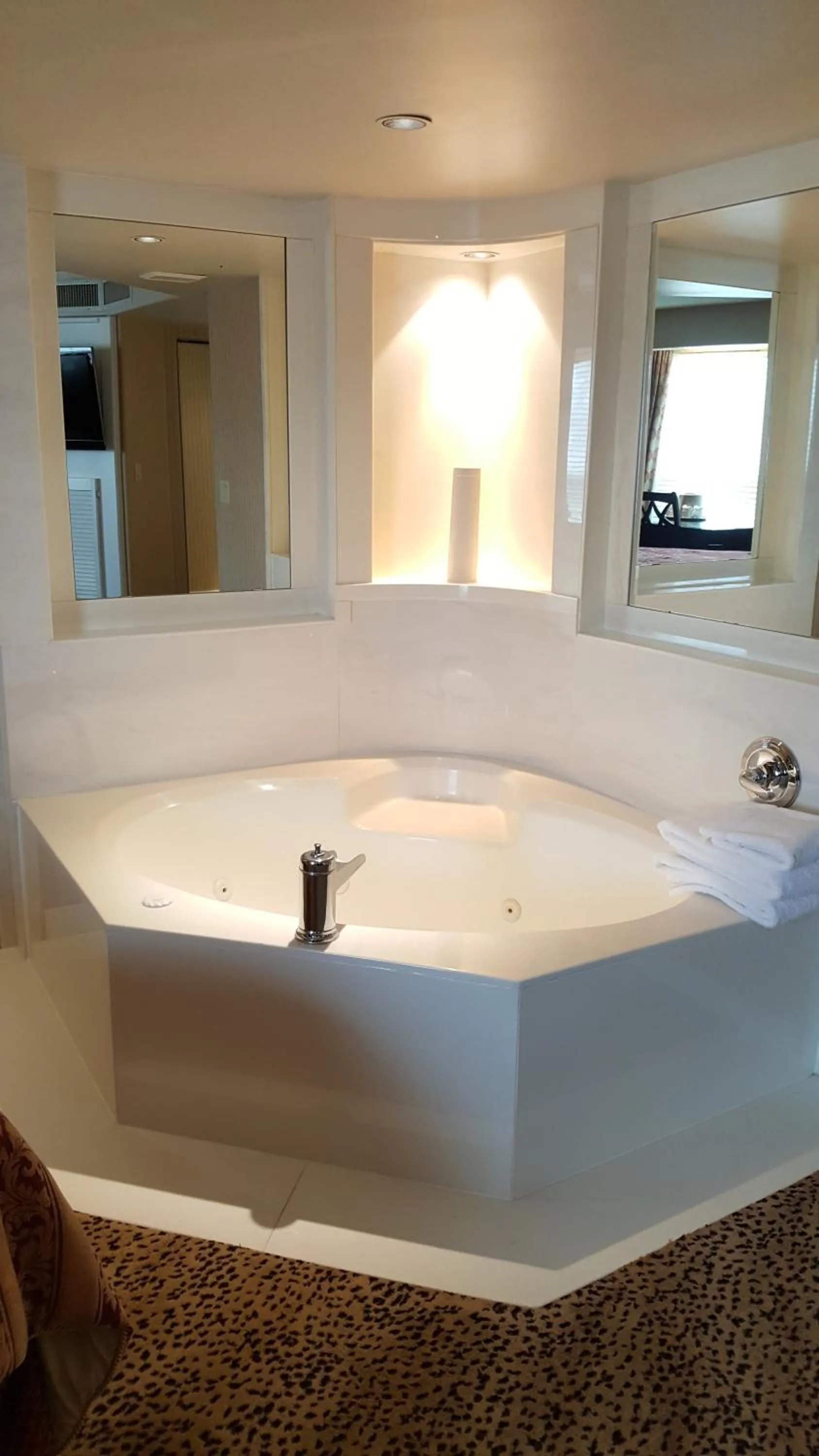 Area and facilities in Chateau Louis Hotel & Conference Centre