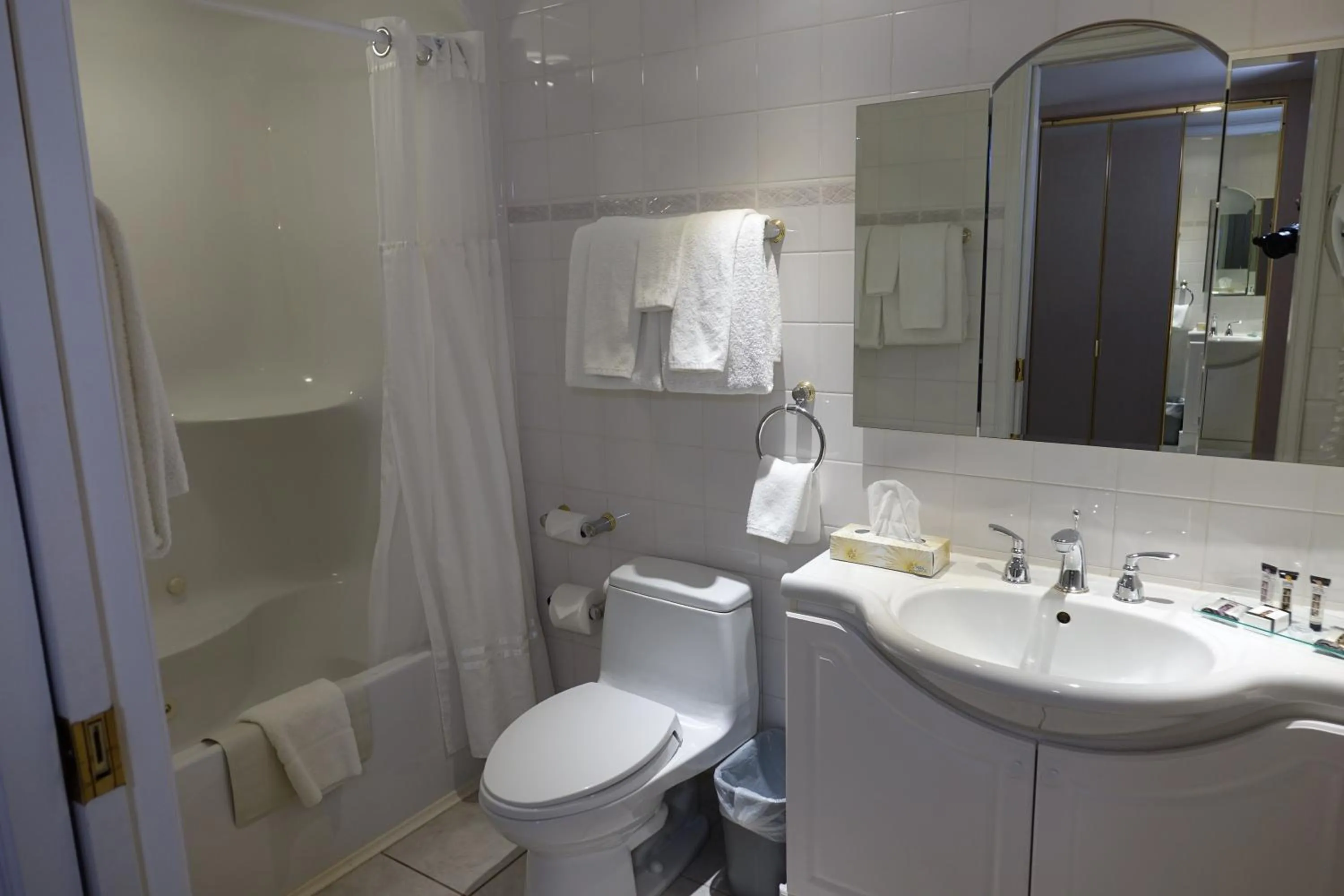 Bathroom in Chateau Louis Hotel & Conference Centre