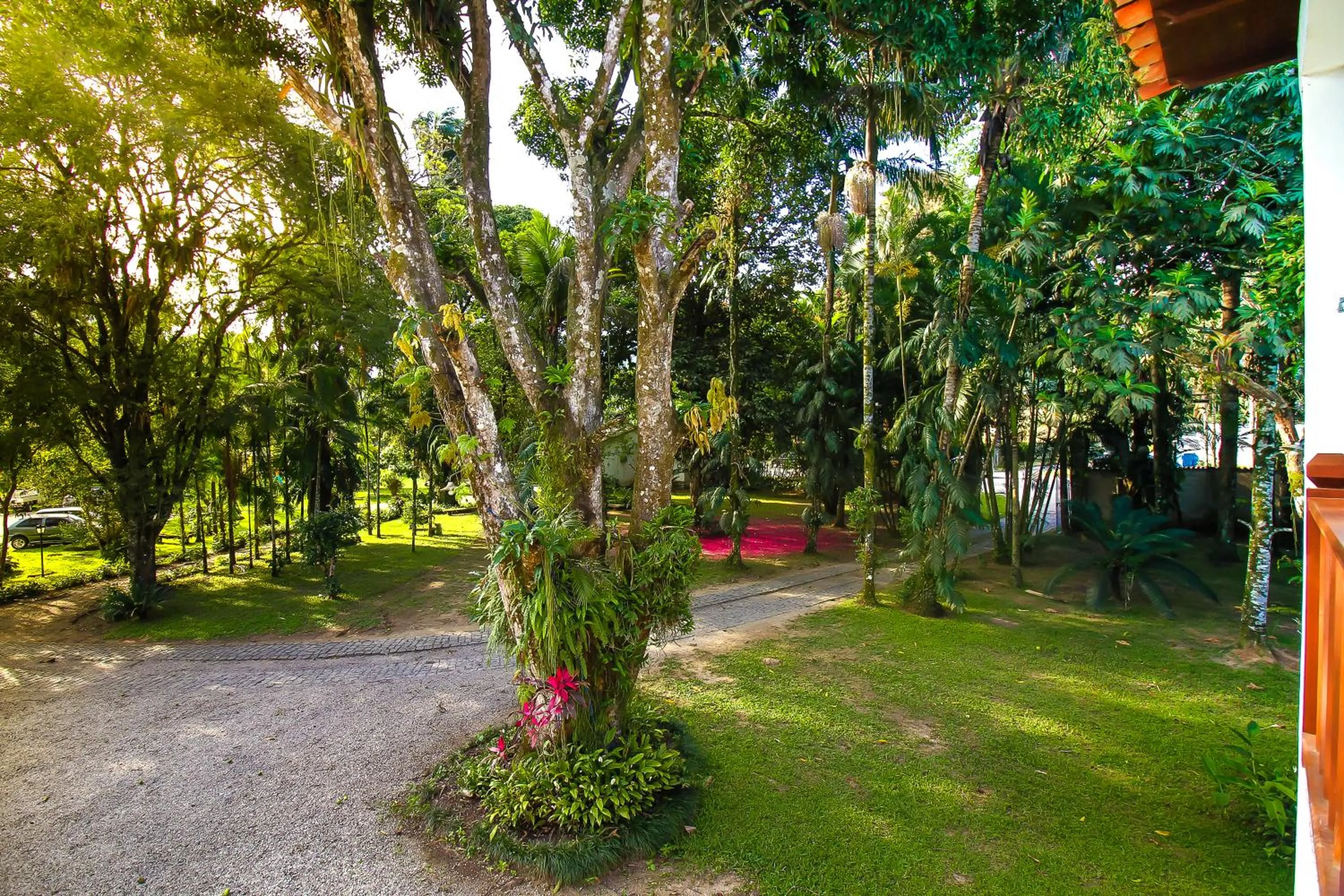 Natural landscape in Pousada Chácara Das Acácias