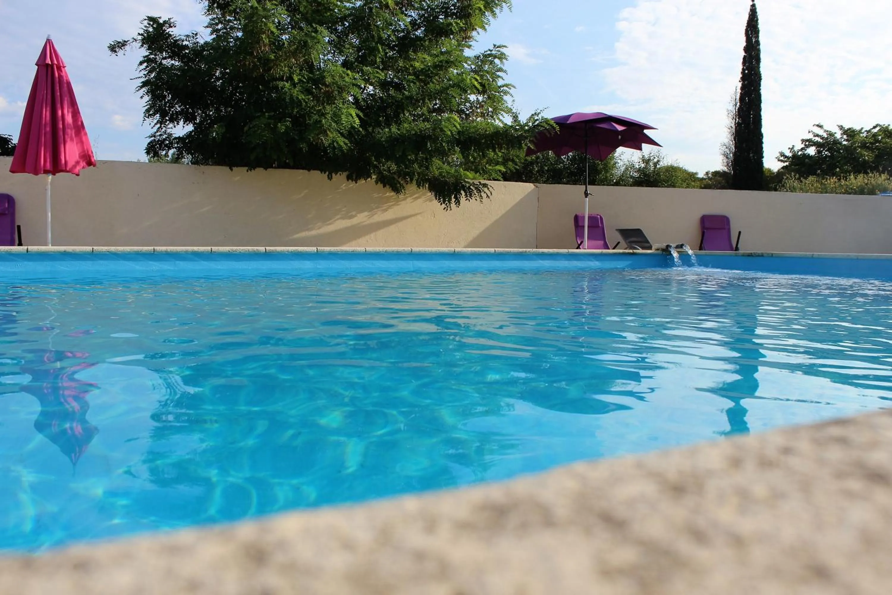 Swimming pool in Hotel Carina