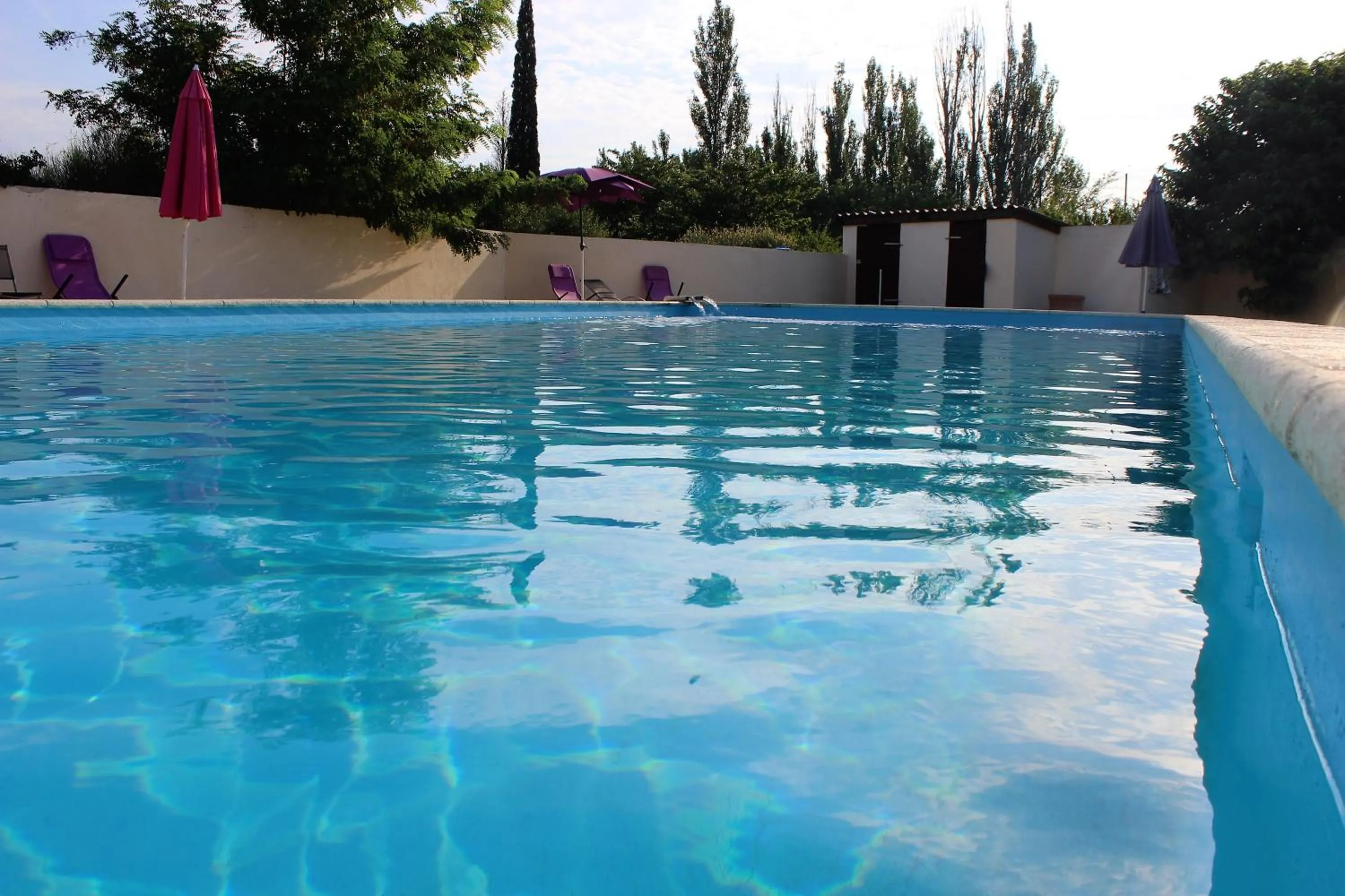 Swimming pool in Hotel Carina