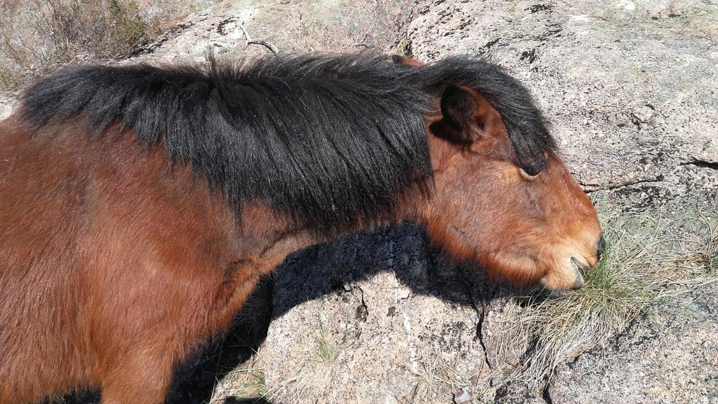 Natural landscape in Moderna do Geres Hotel