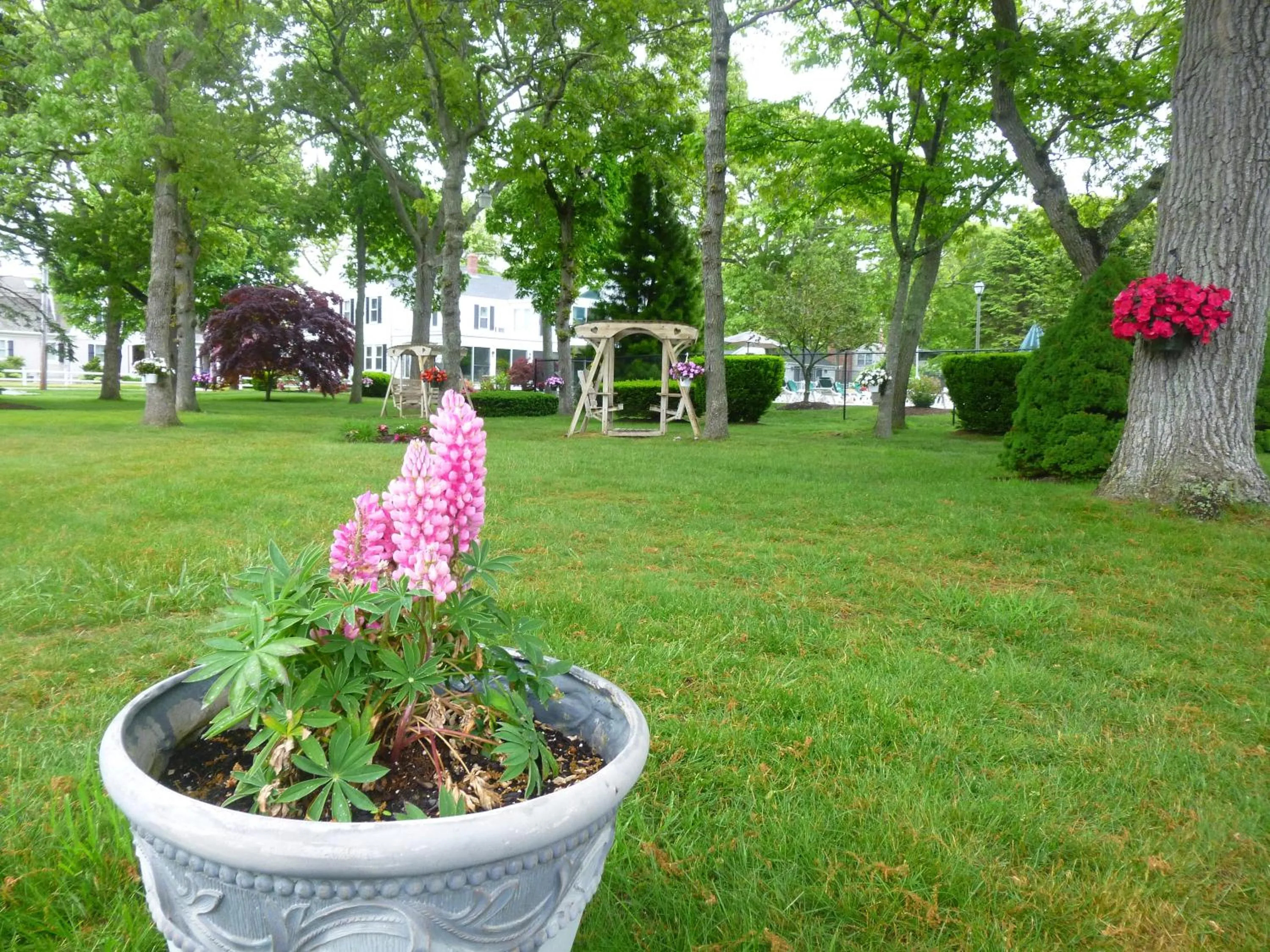 Day in Falmouth Heights Motor Lodge