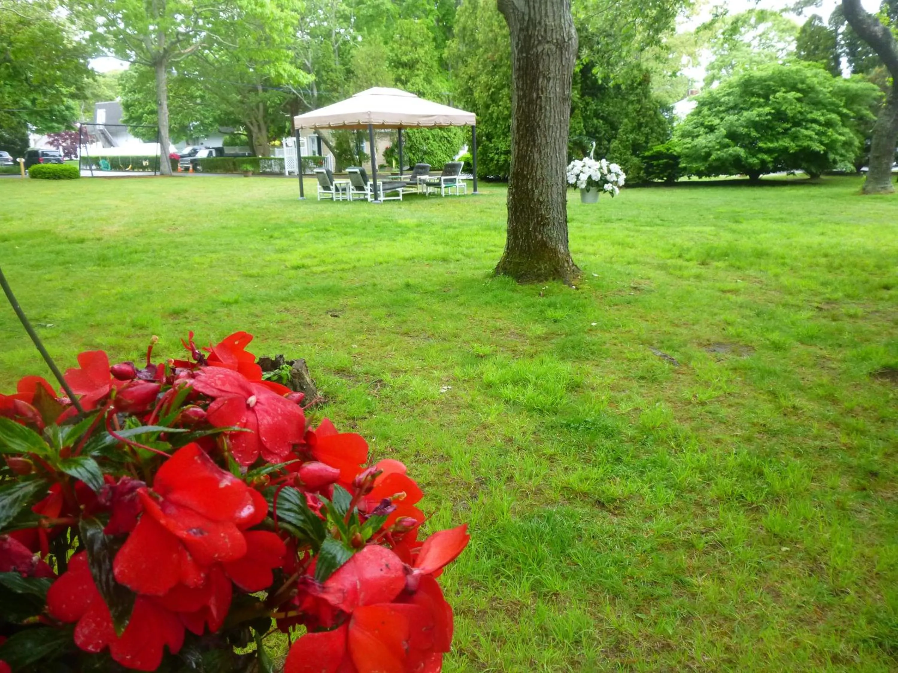 Day in Falmouth Heights Motor Lodge