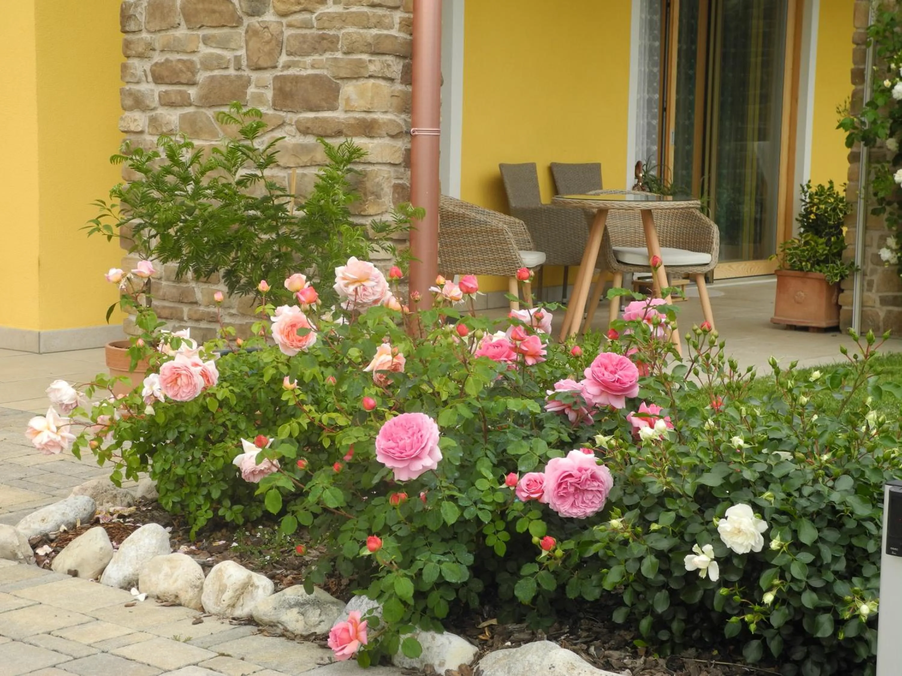 Property building in B&B Mimosa e Lillà