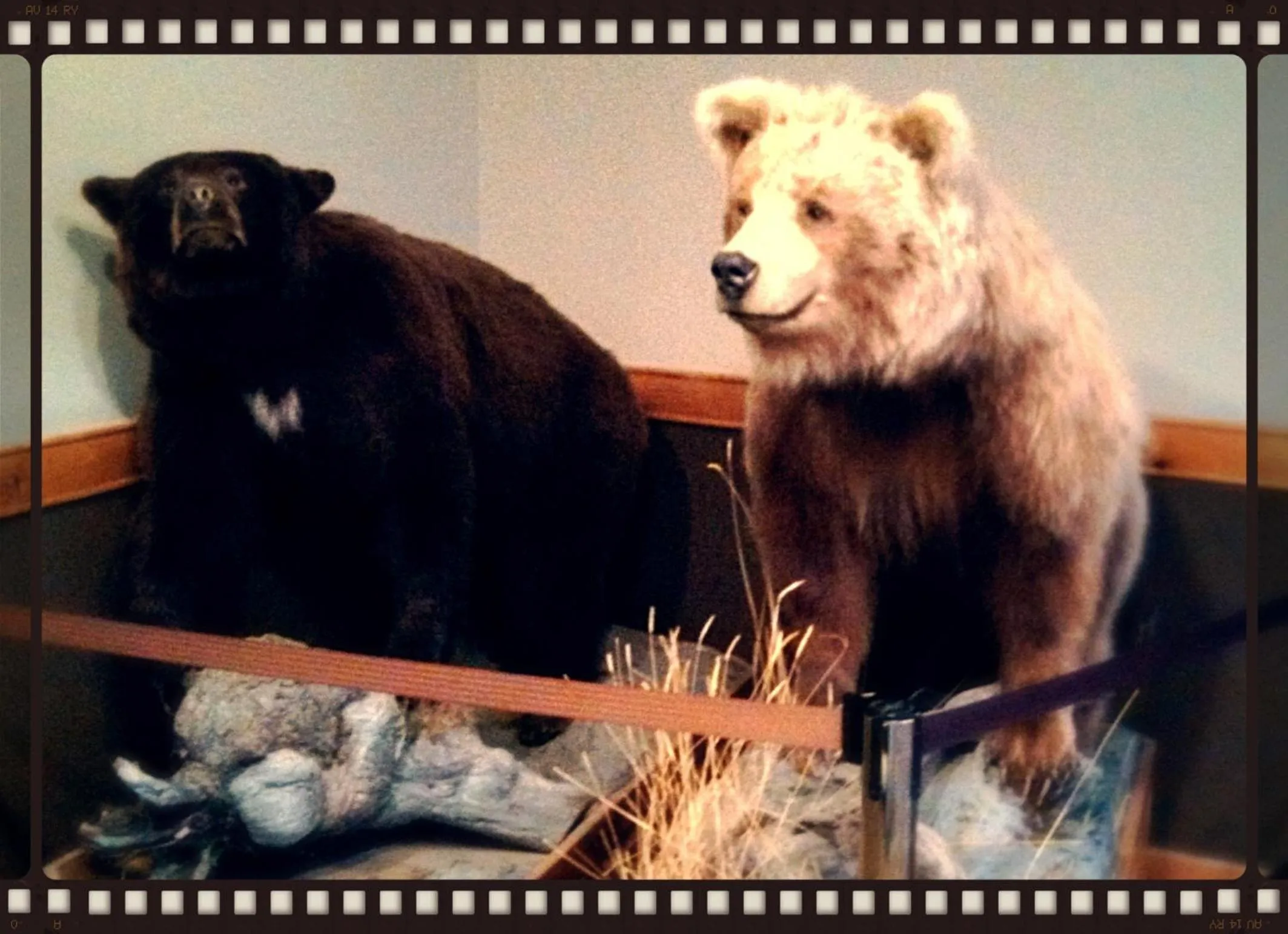 Decorative detail in Stage Coach Inn