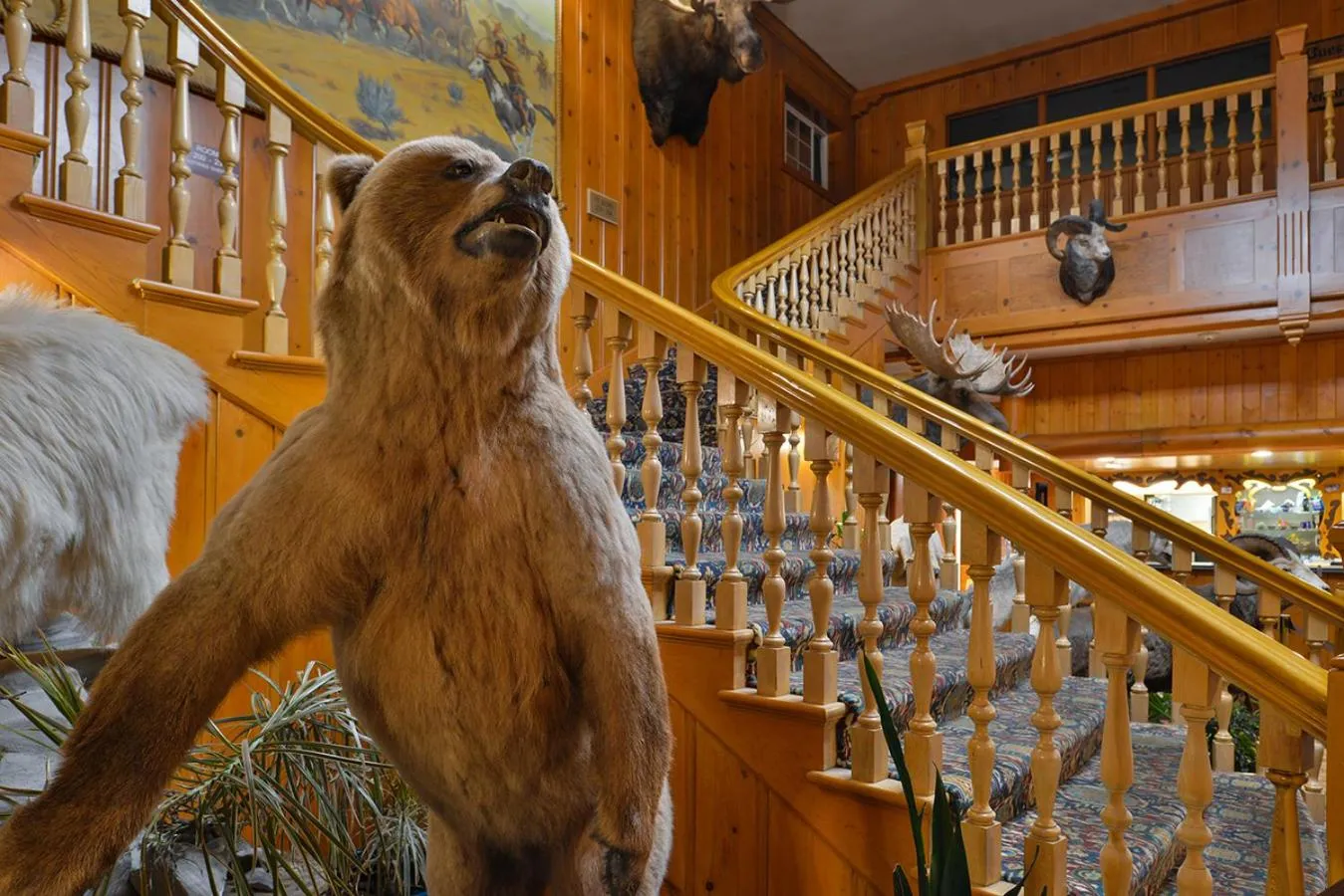 Animals in Stage Coach Inn