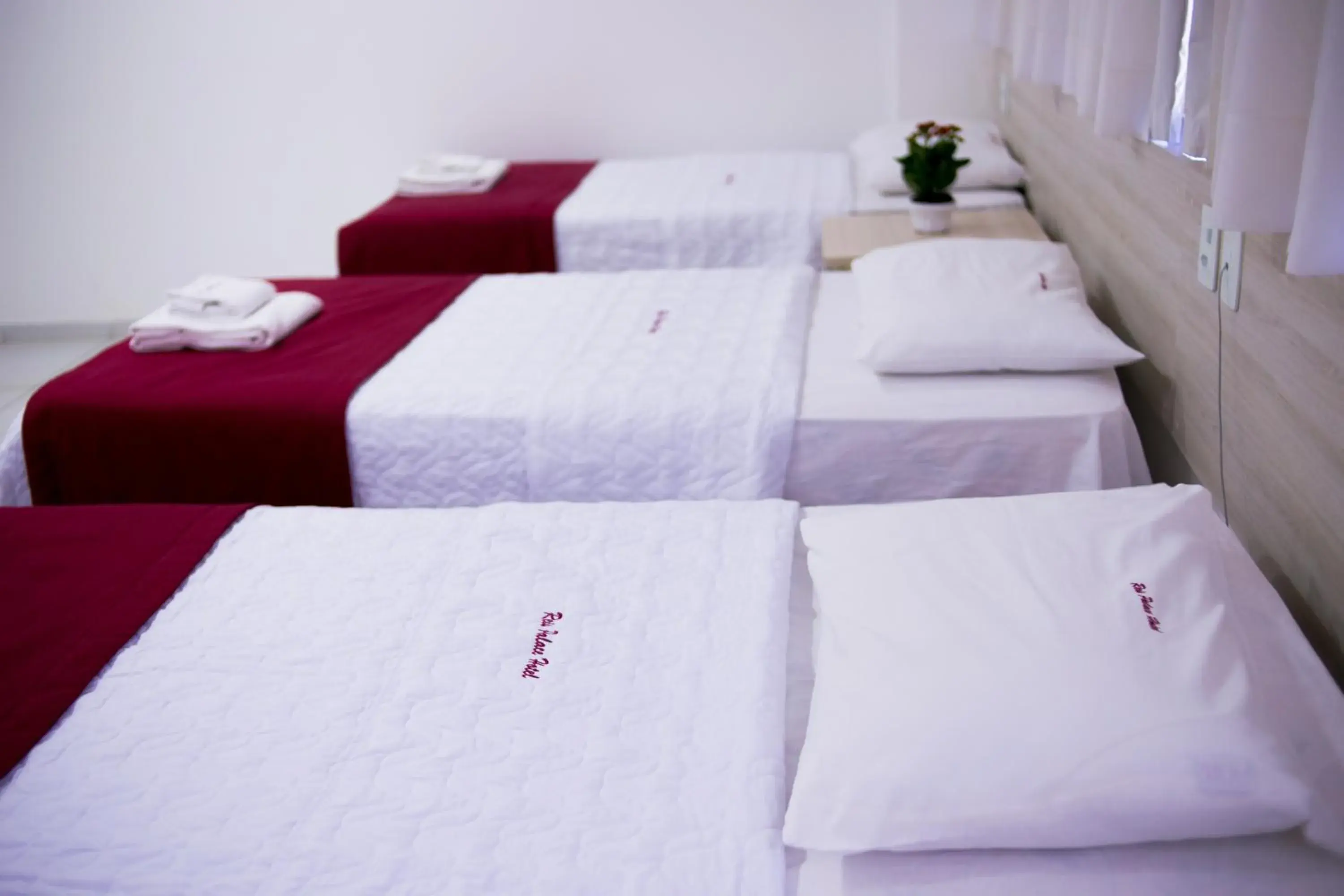 Standard Apartment in Reis Palace Hotel Standard Apartment in Reis Palace Hotel