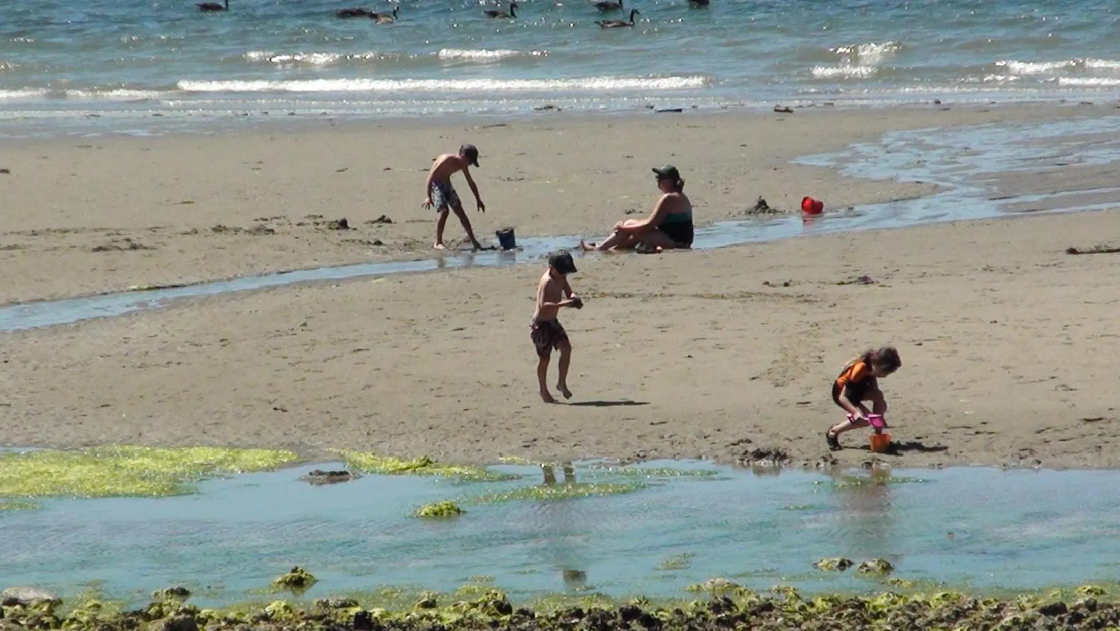 Halfmoon Haven Beach Cottage or Oceanview Suite