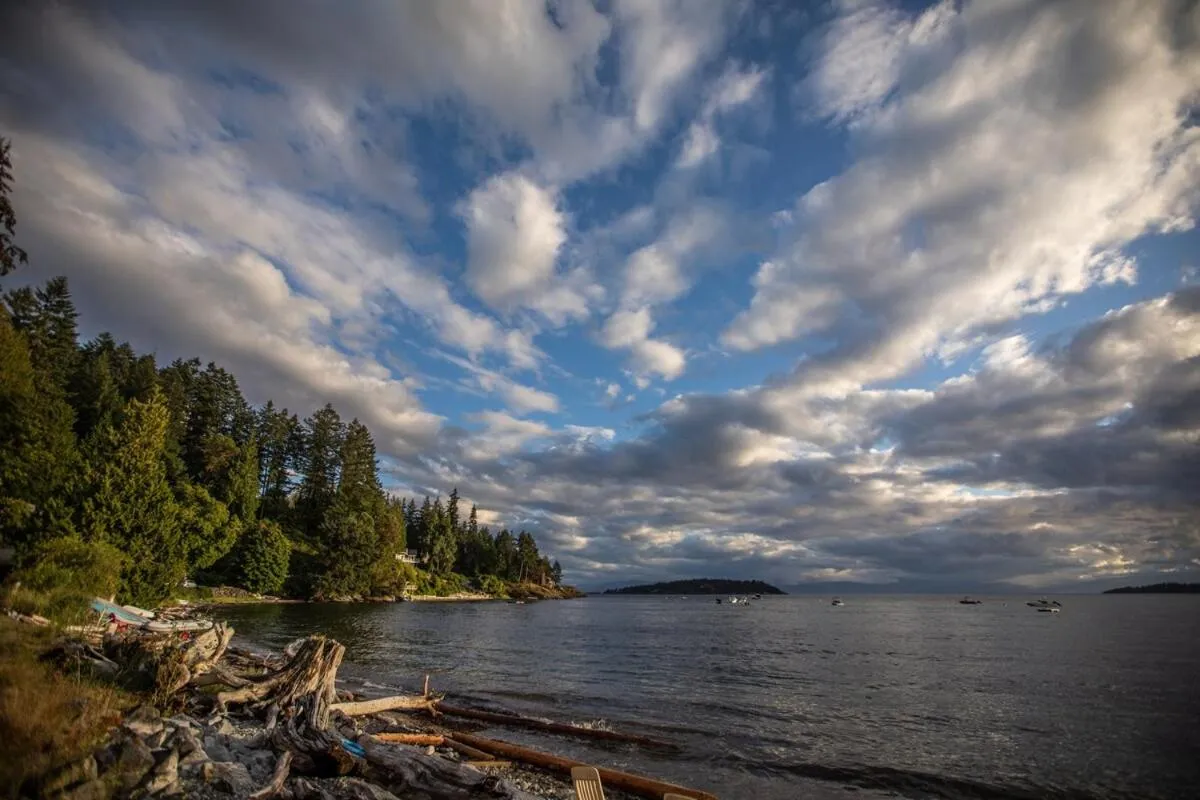 Halfmoon Haven Beach Cottage or Oceanview Suite