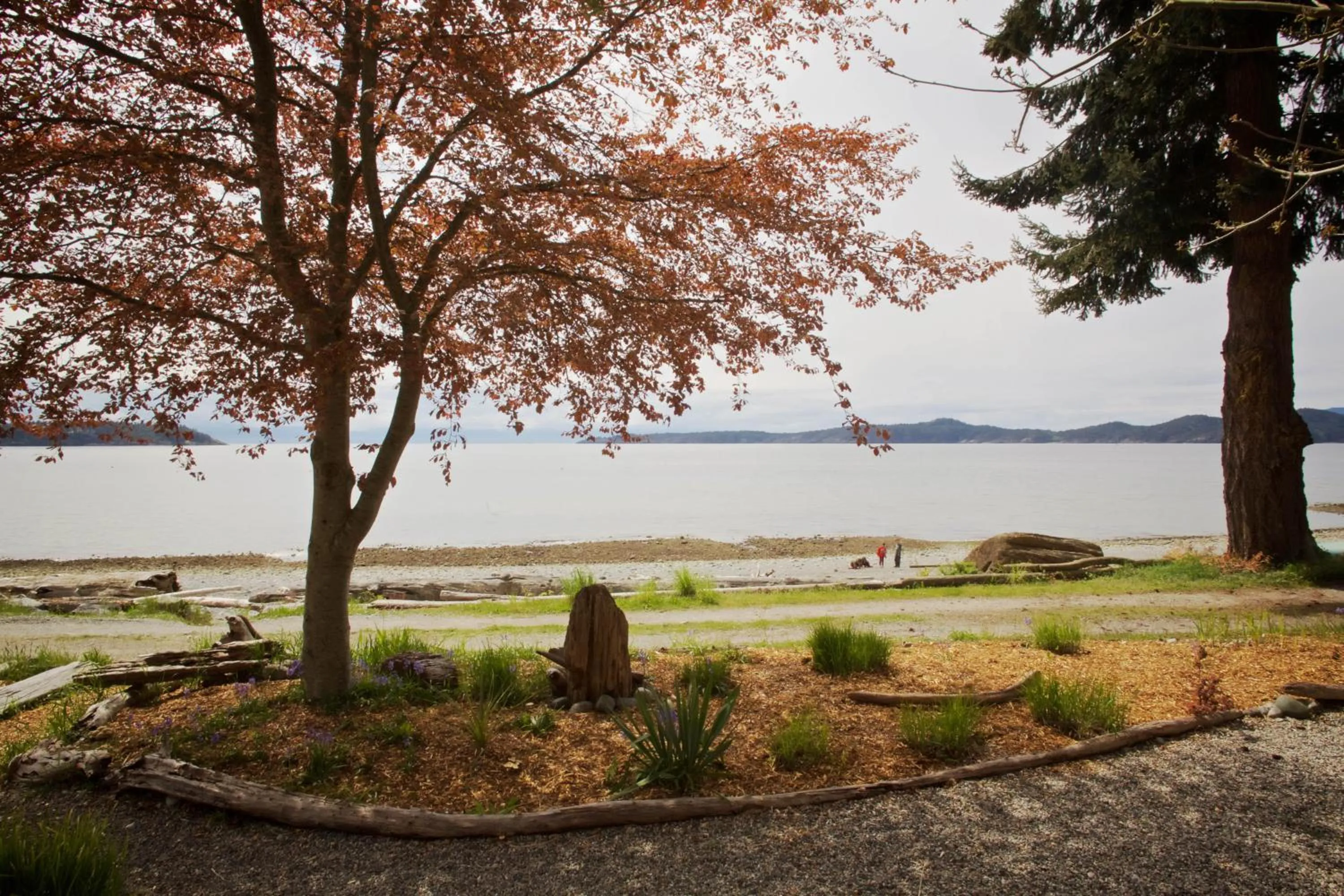 Halfmoon Haven Beach Cottage or Oceanview Suite