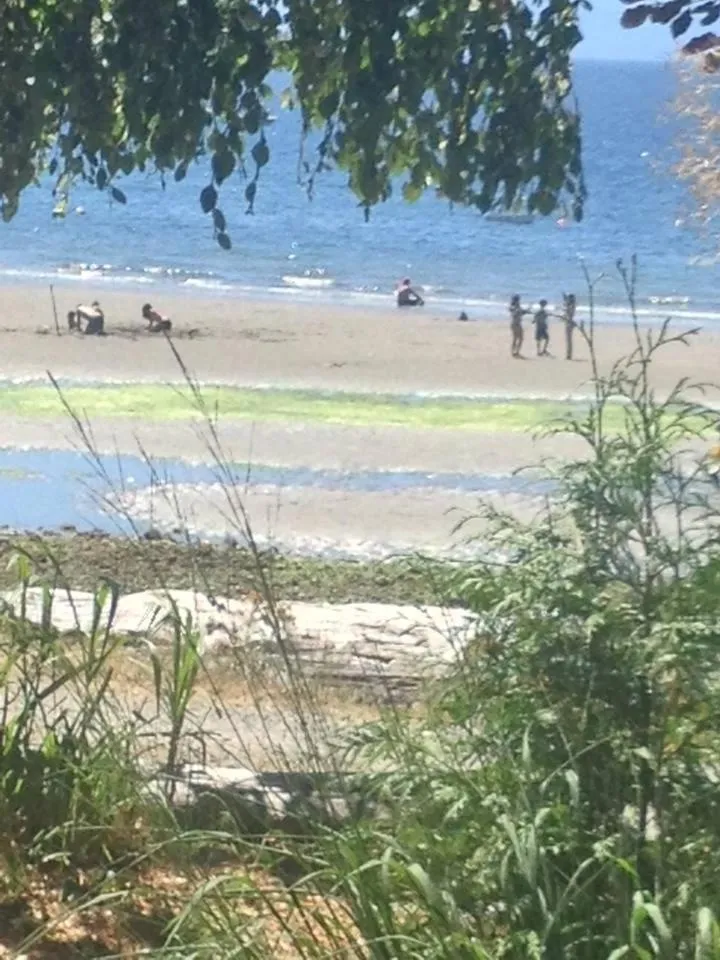 Halfmoon Haven Beach Cottage or Oceanview Suite