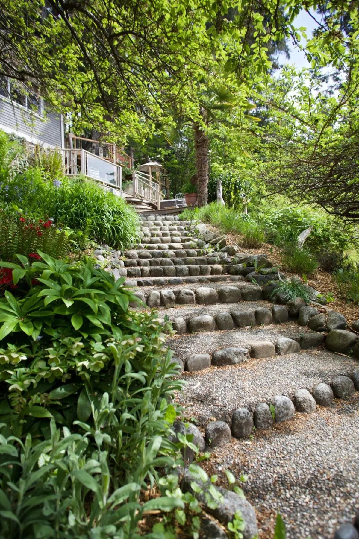 Halfmoon Haven Beach Cottage or Oceanview Suite