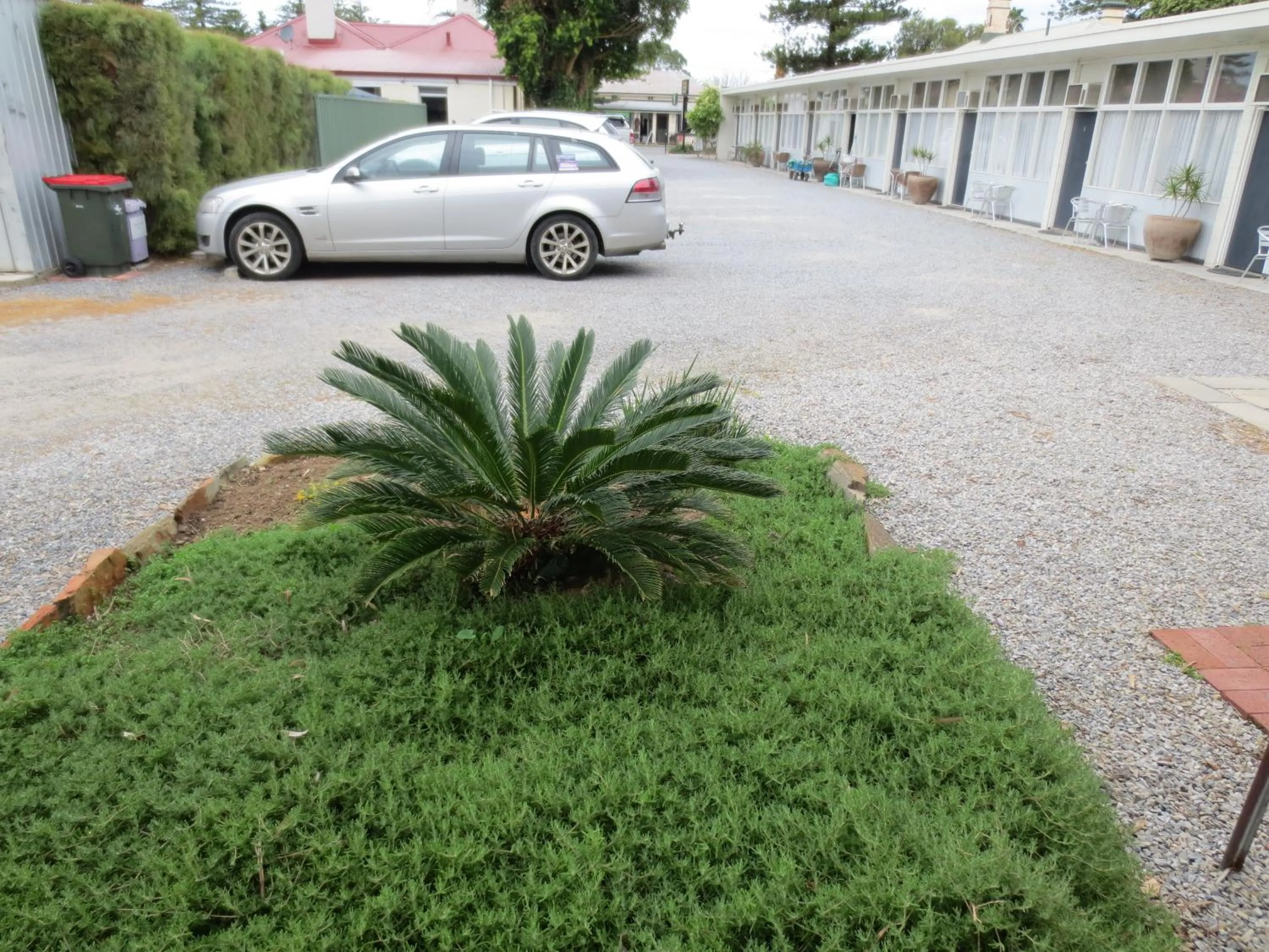 Garden in Norfolk Motor Inn