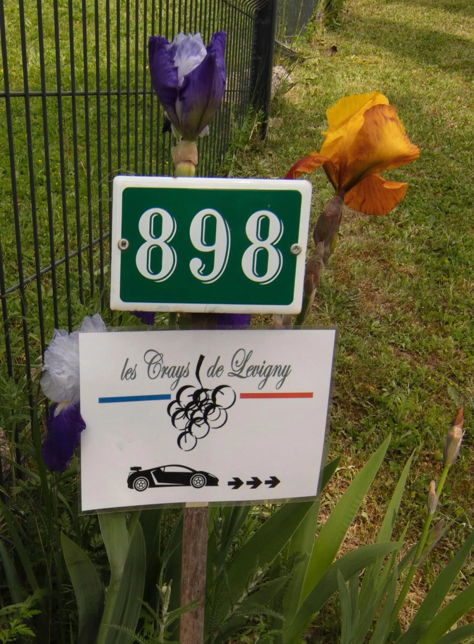 les CRAYS de LÉVIGNY