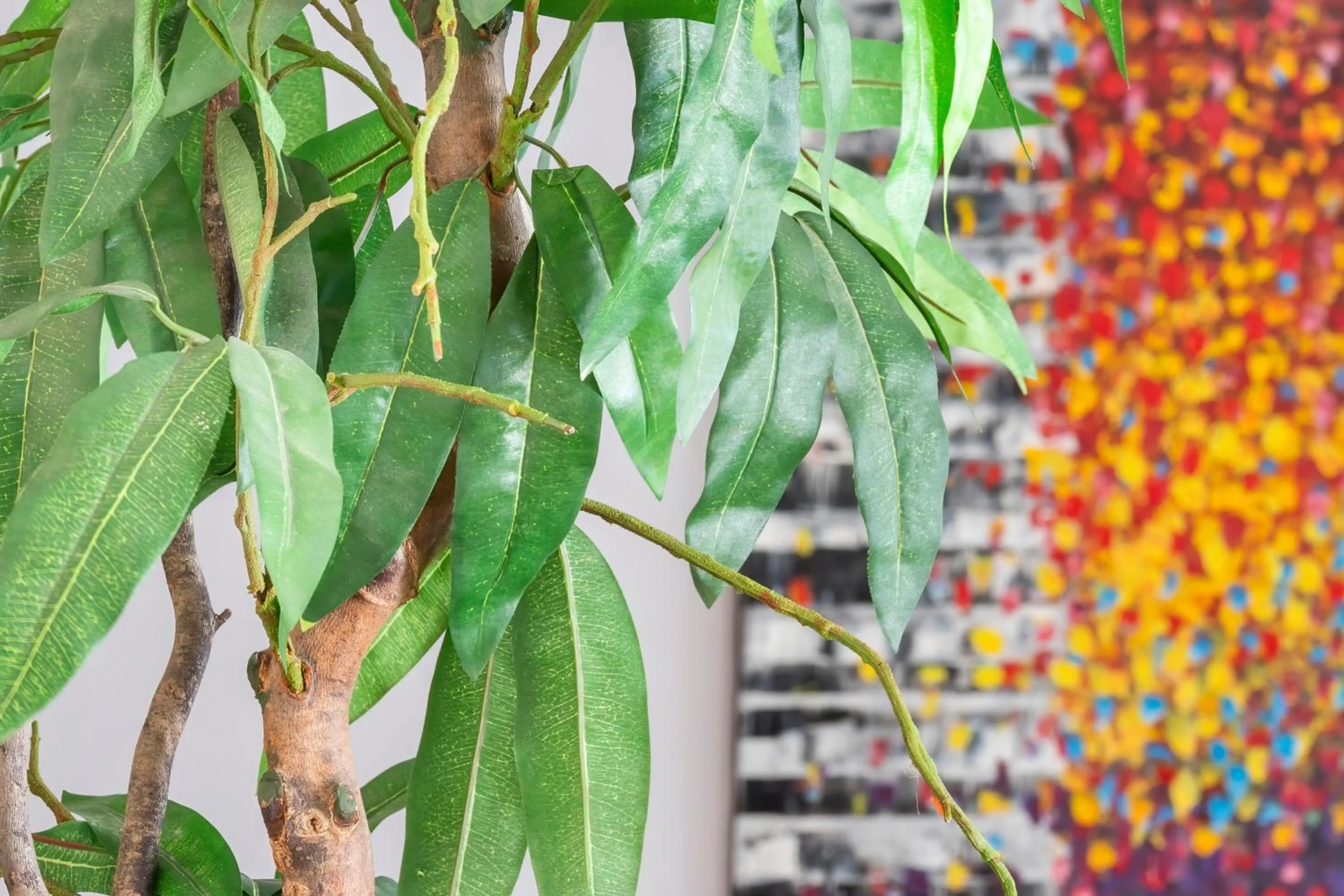 Garden in The Robert Towns