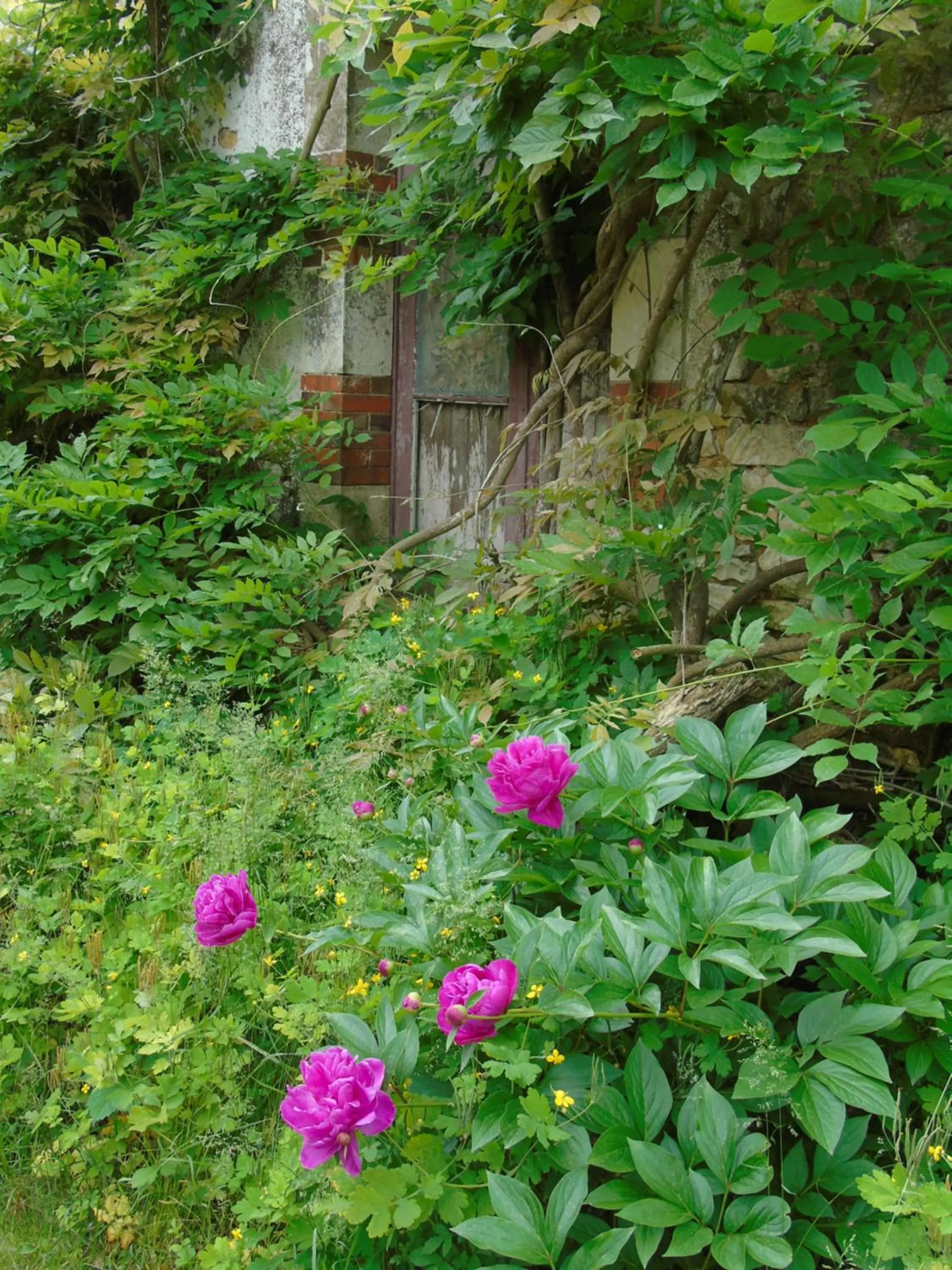 Property building in Eco Logis de Chantegrolle