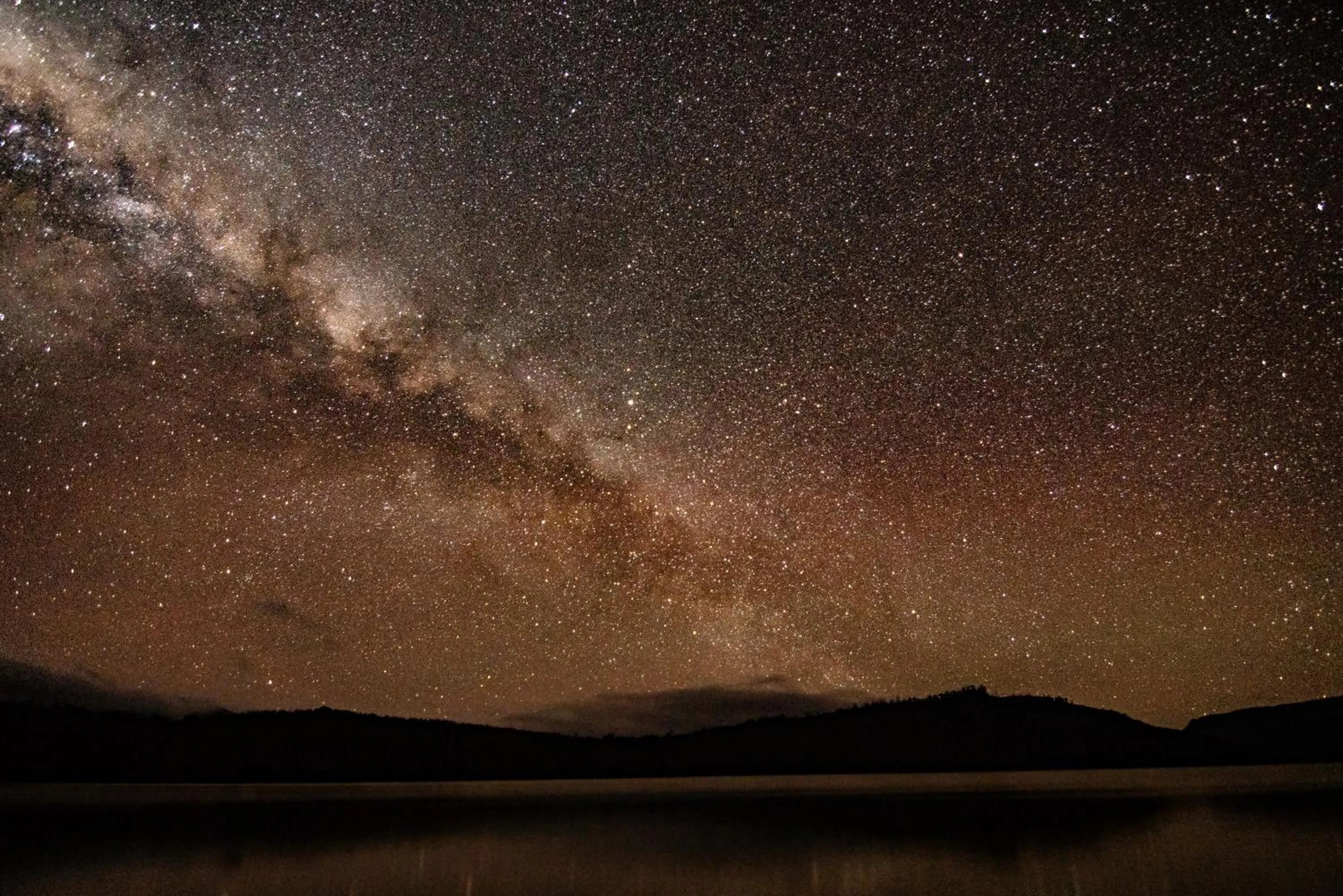 Natural landscape in Lake St Clair Lodge