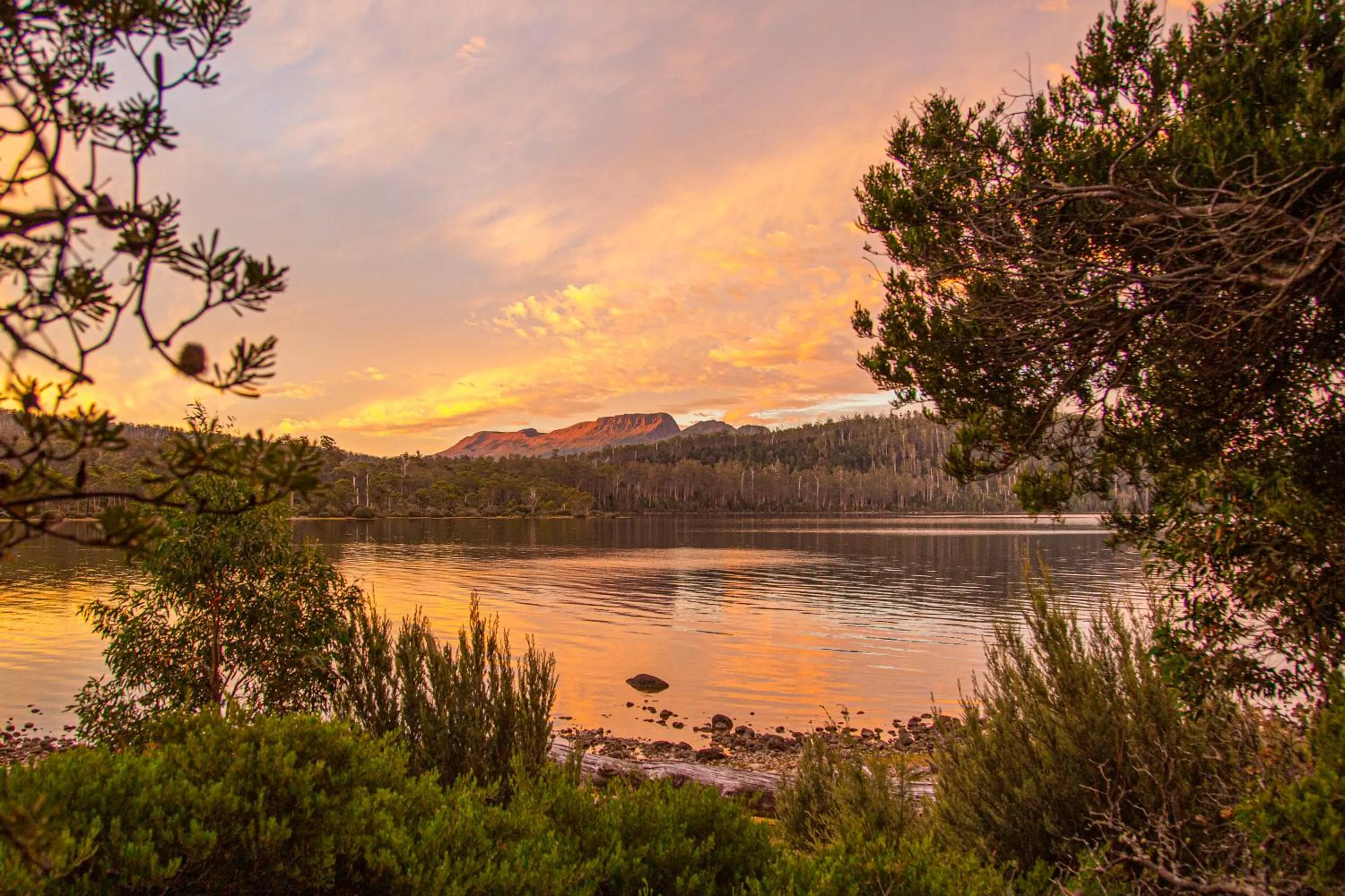 Natural landscape in Lake St Clair Lodge