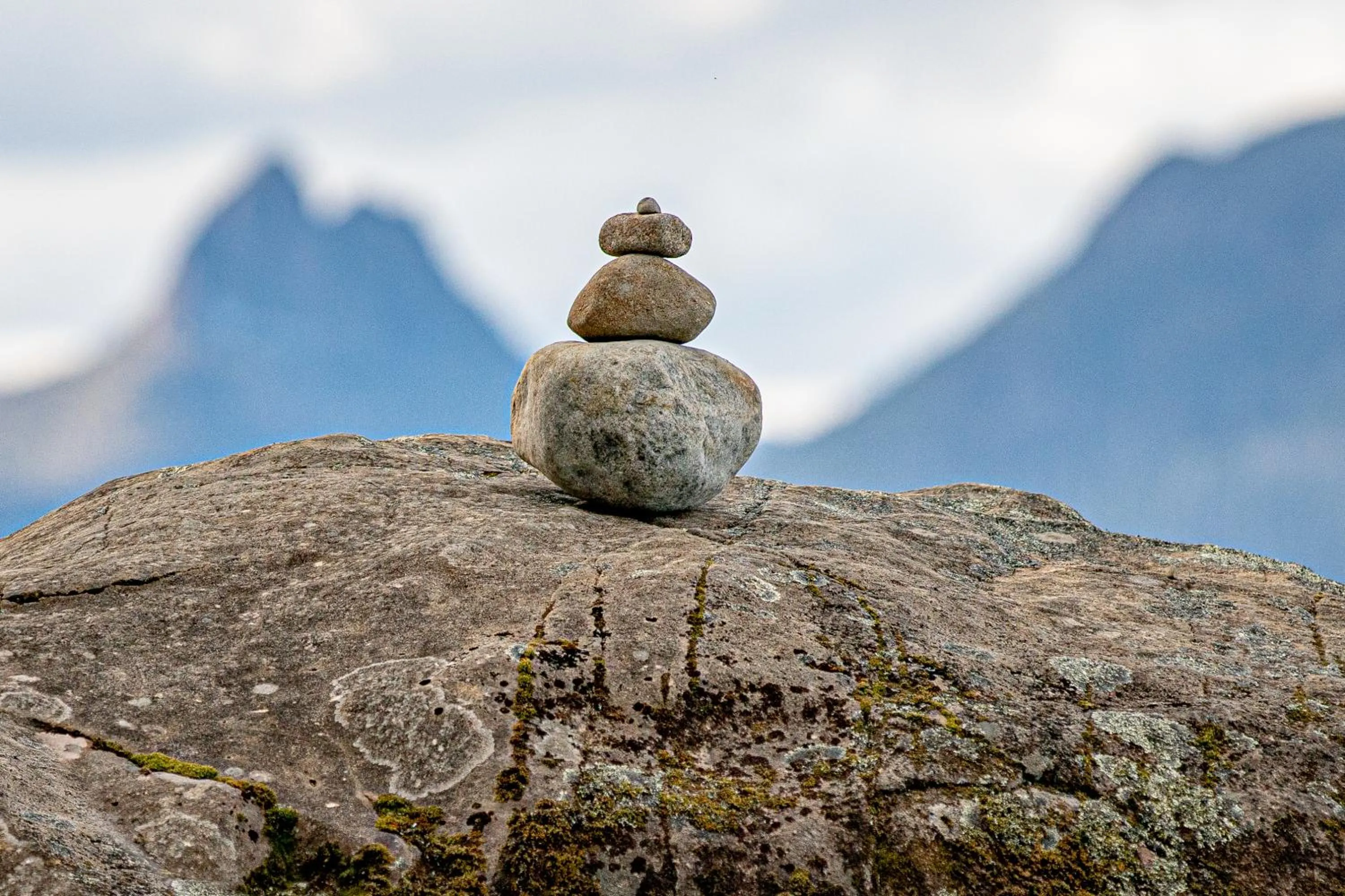 Natural landscape in Lake St Clair Lodge