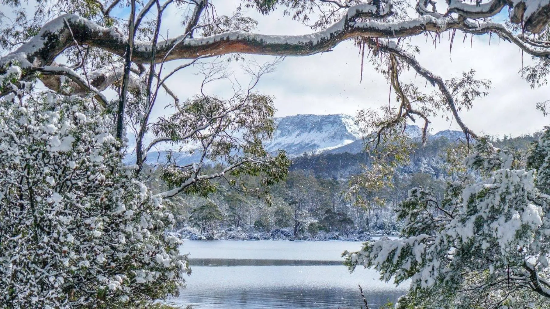 Natural landscape in Lake St Clair Lodge