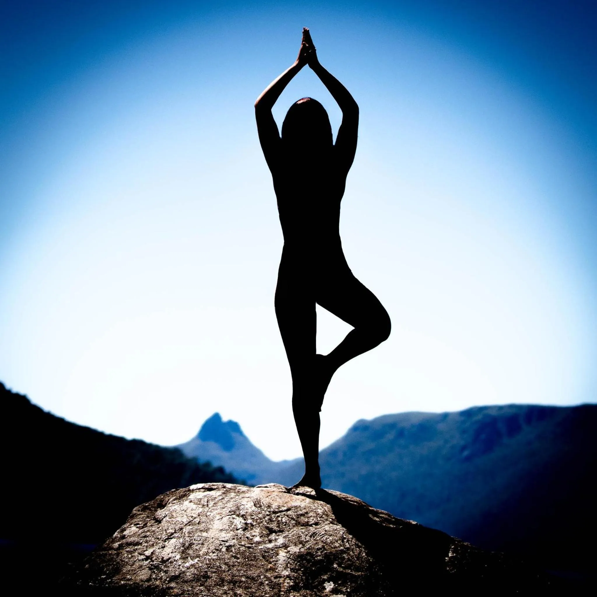 Guests in Lake St Clair Lodge