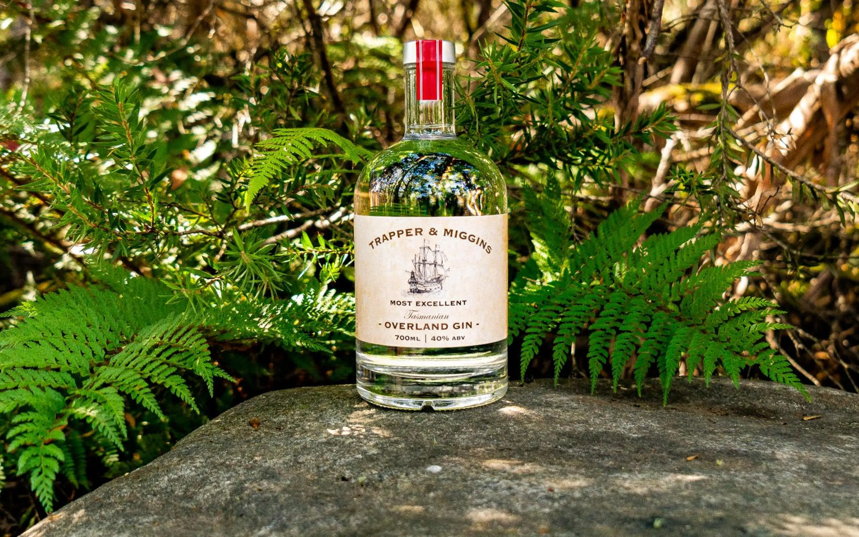 Alcoholic drinks in Lake St Clair Lodge