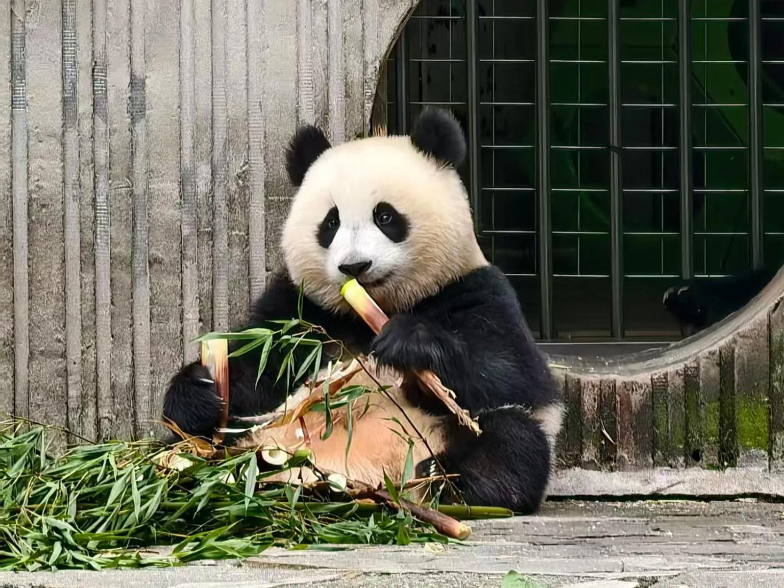 Nearby landmark in Holiday Inn Express Chengdu Gulou