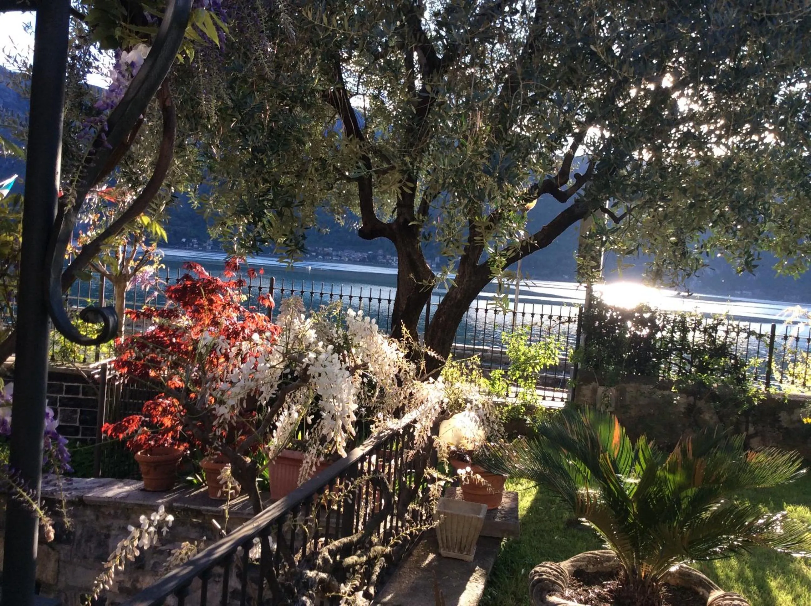 B&B - FORESTERIA - Frontelago Lake Como