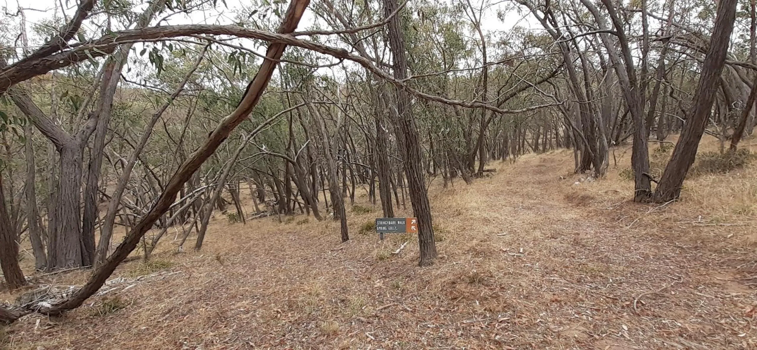 Hiking in Trestrail Cottage Accommodation