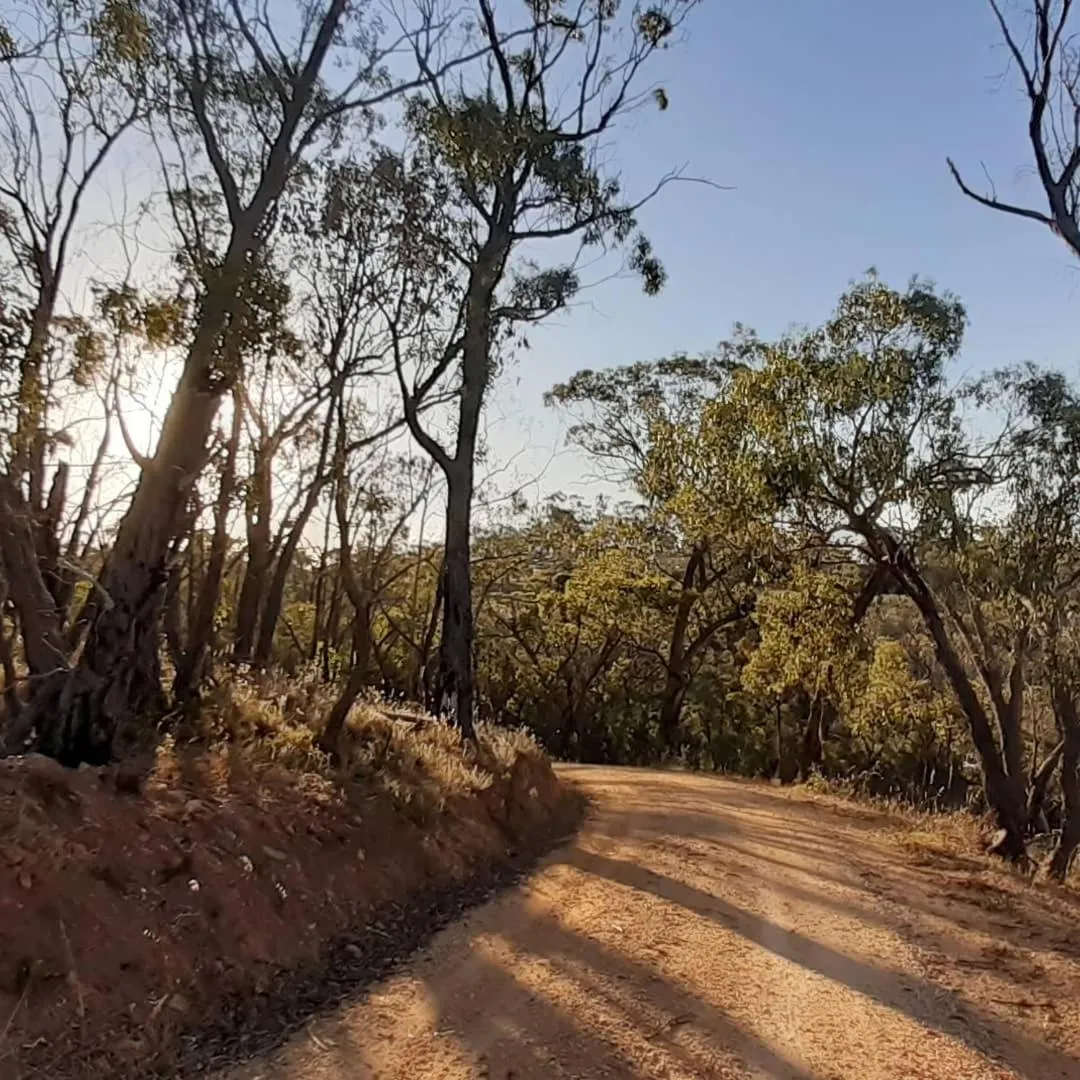 Natural landscape in Trestrail Cottage Accommodation