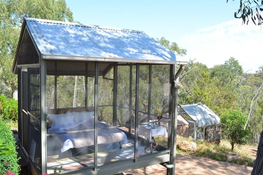 Balcony/Terrace in Trestrail Cottage Accommodation