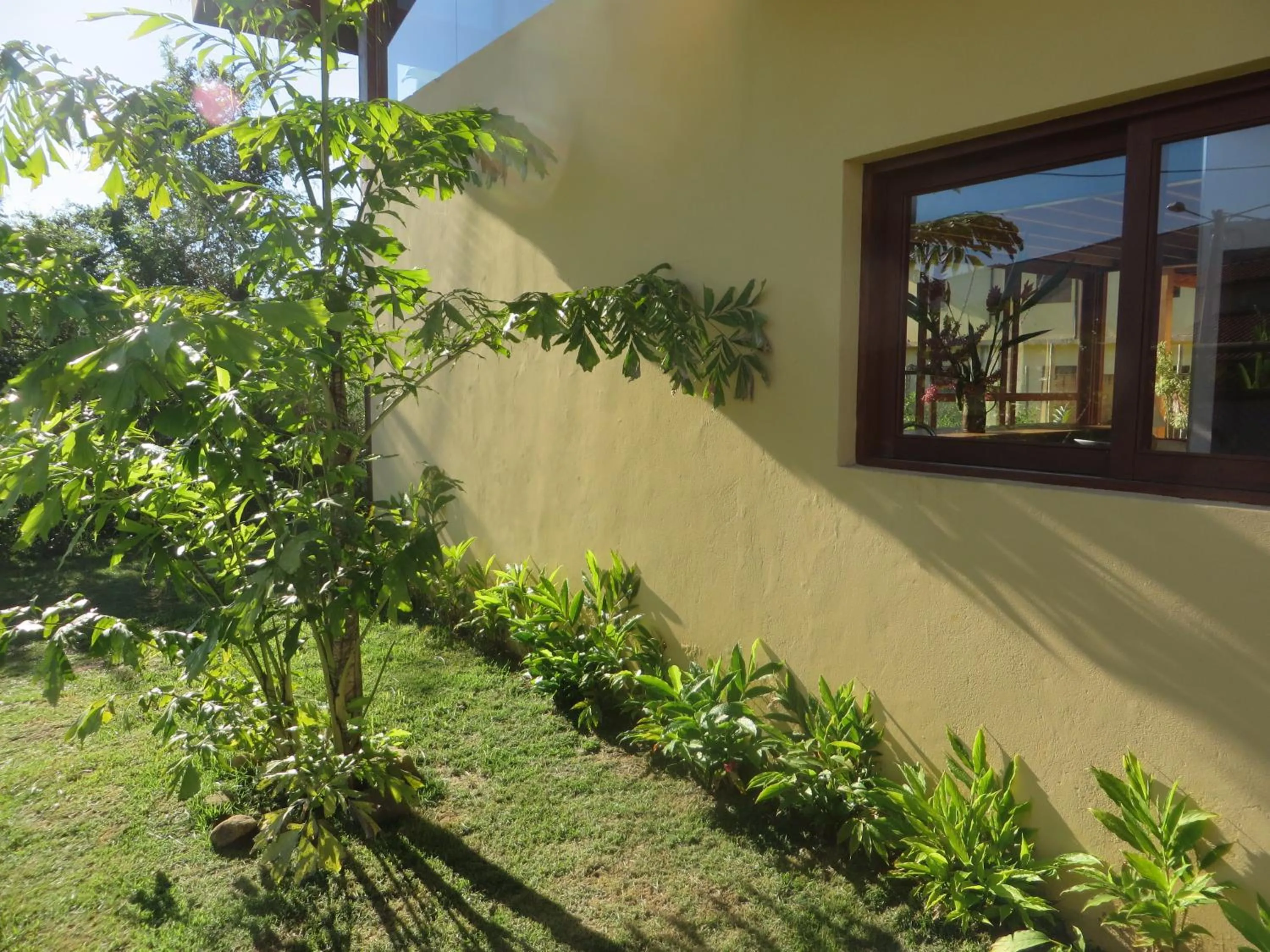 Garden in Casa Bon Voyage - Guesthouse