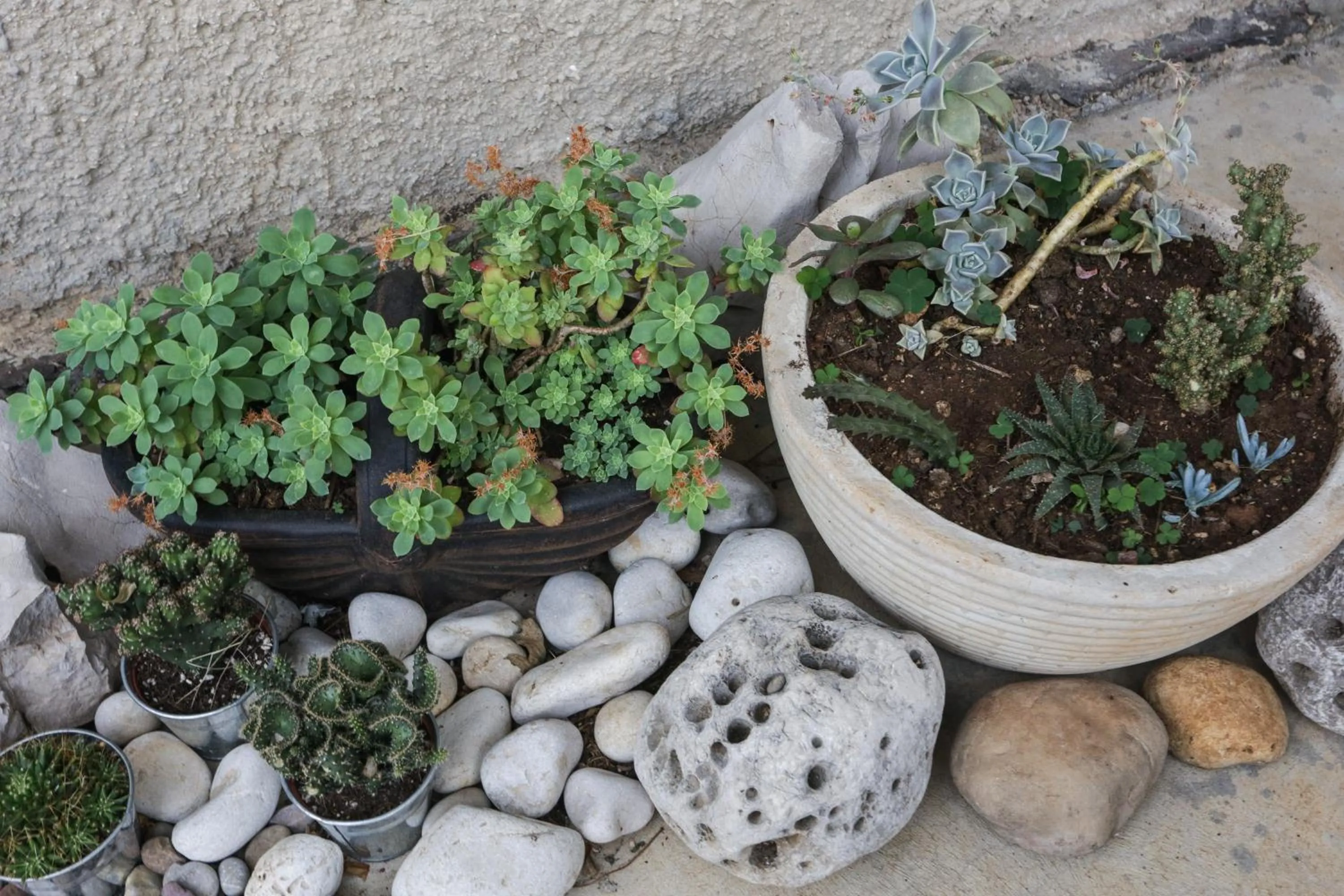 Food in K-apartments