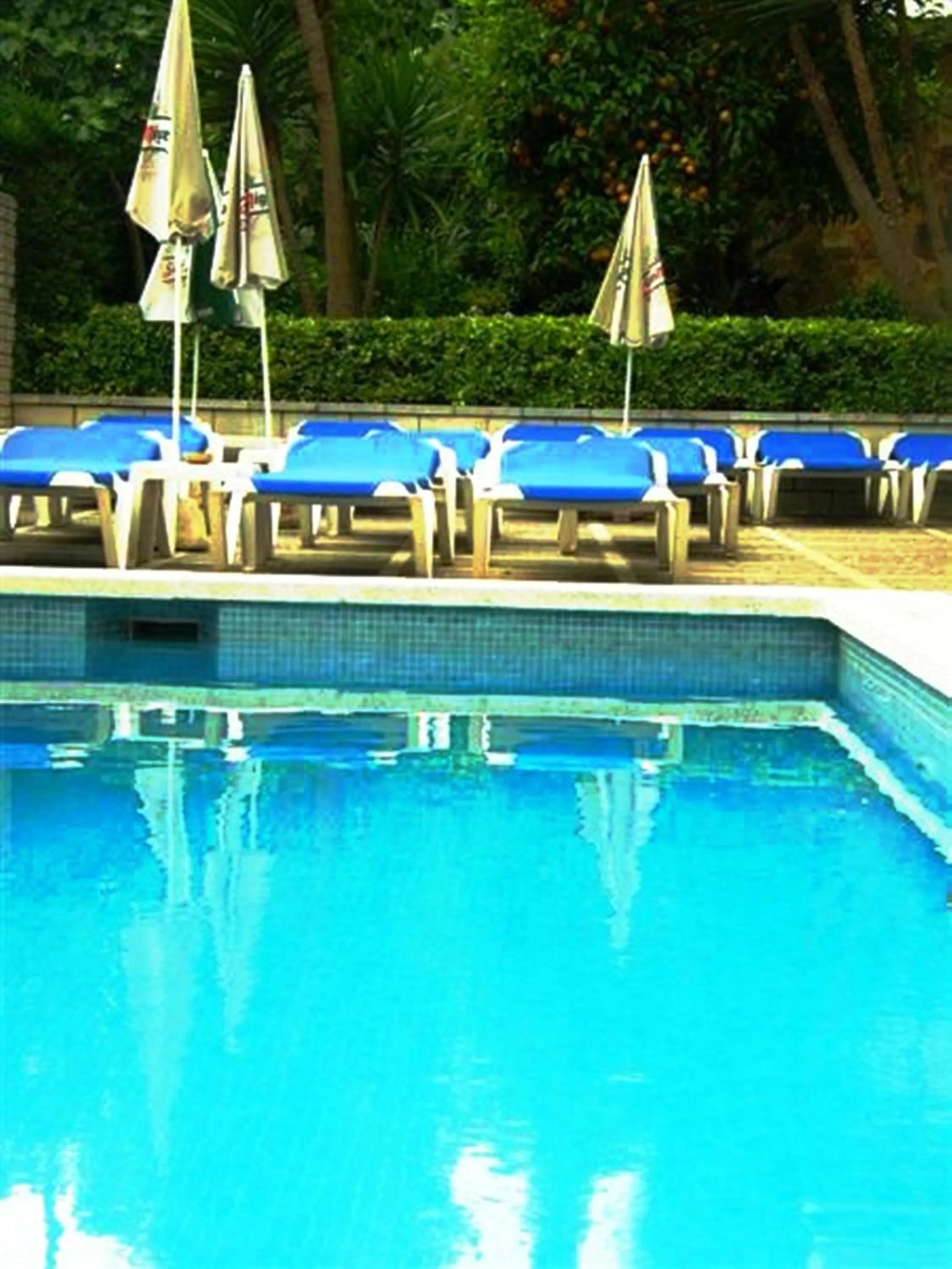 Swimming pool in Hostal Magnolia