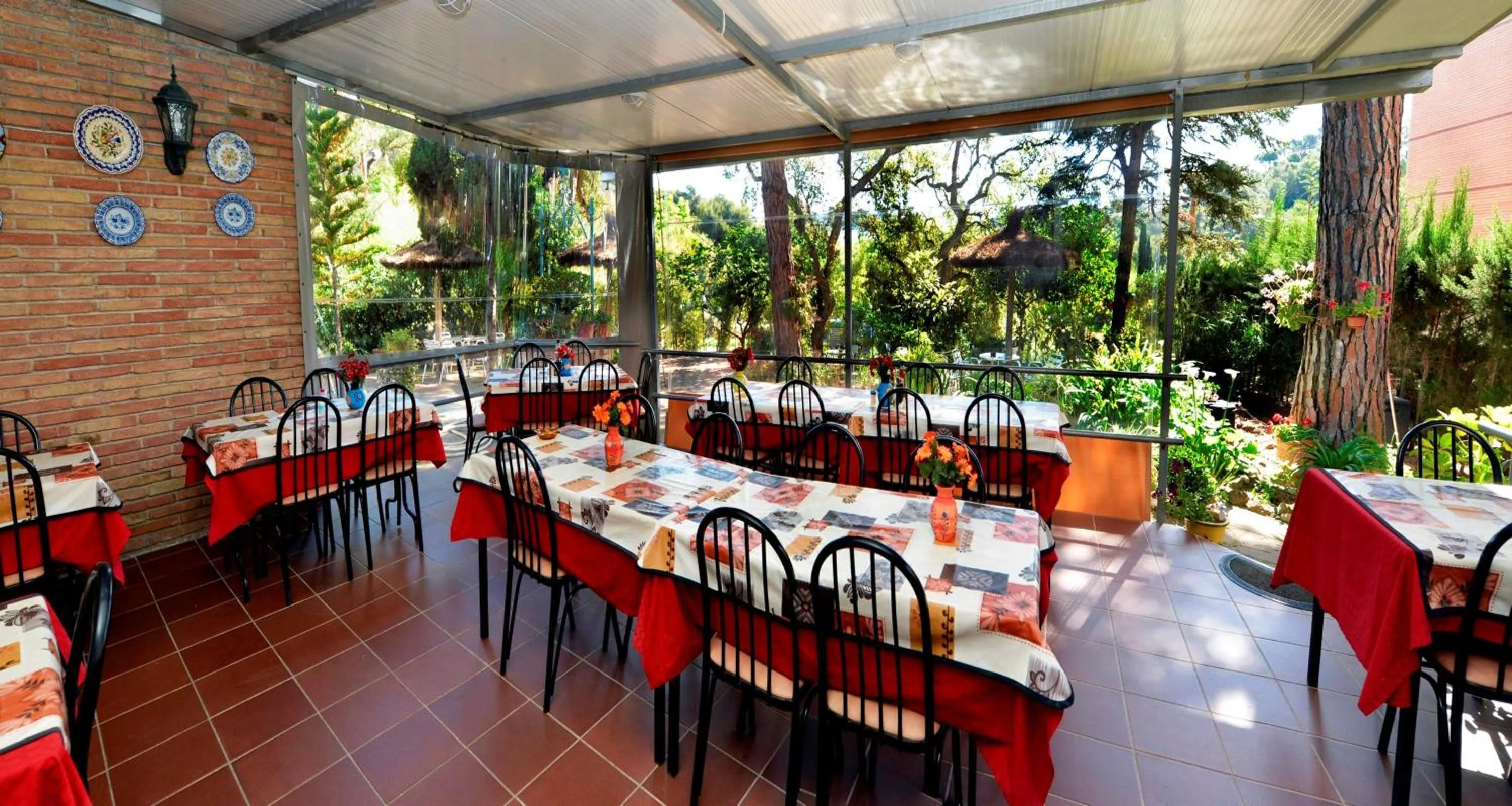 Restaurant/places to eat in Hostal Magnolia