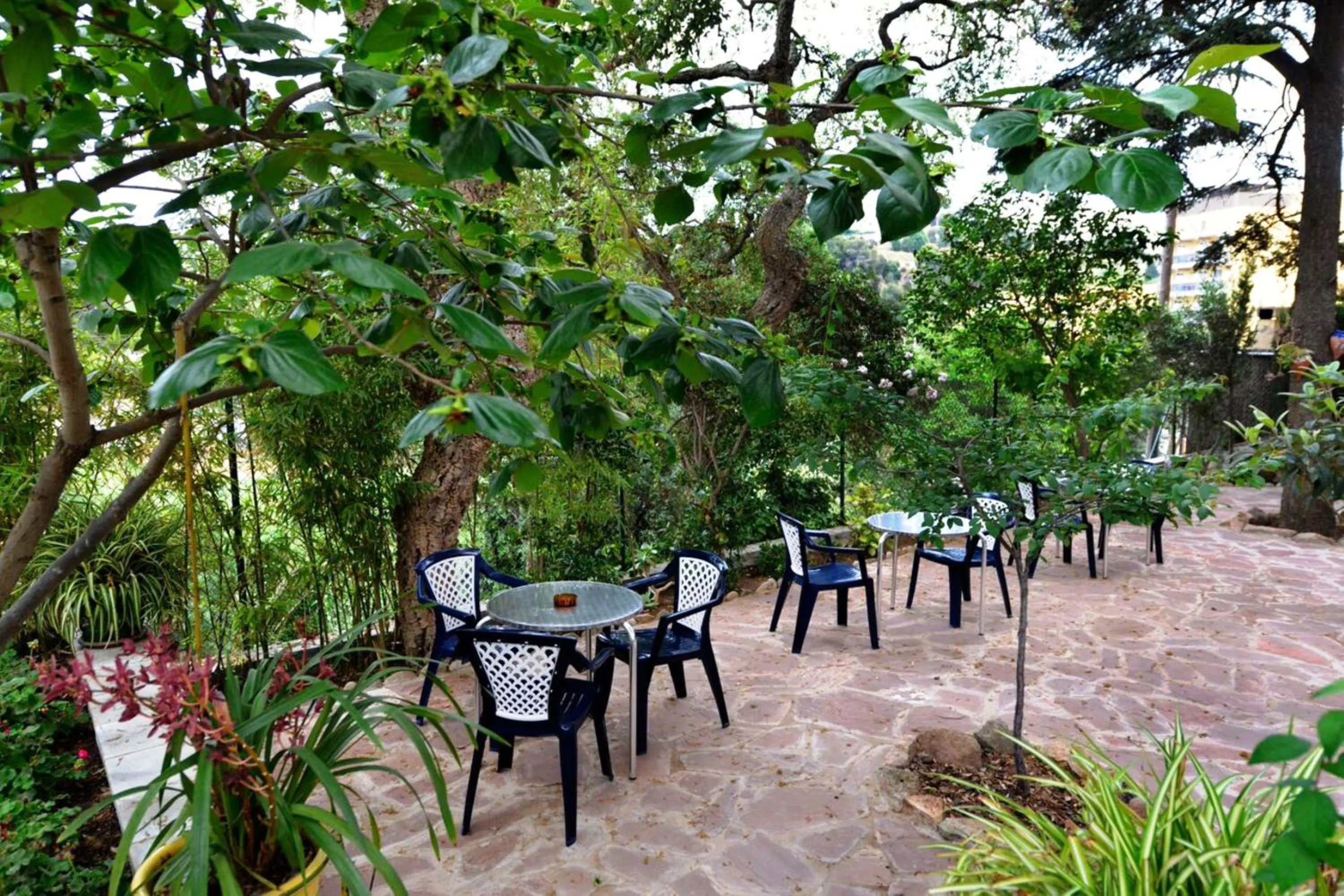 Garden in Hostal Magnolia