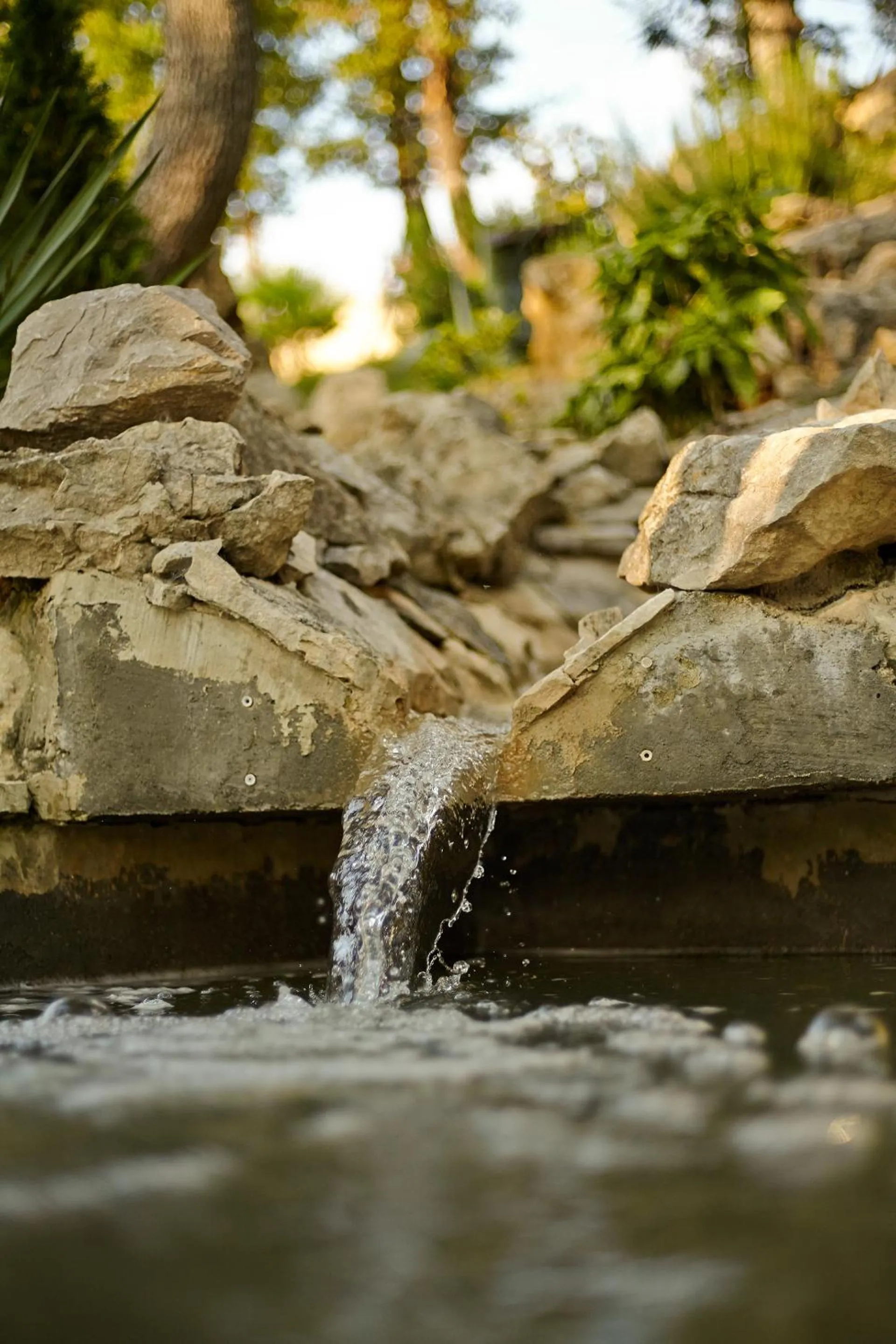 Decorative detail in Apartments Villa Venera